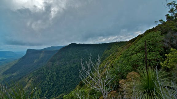 Pinnacle Walk and Lookout