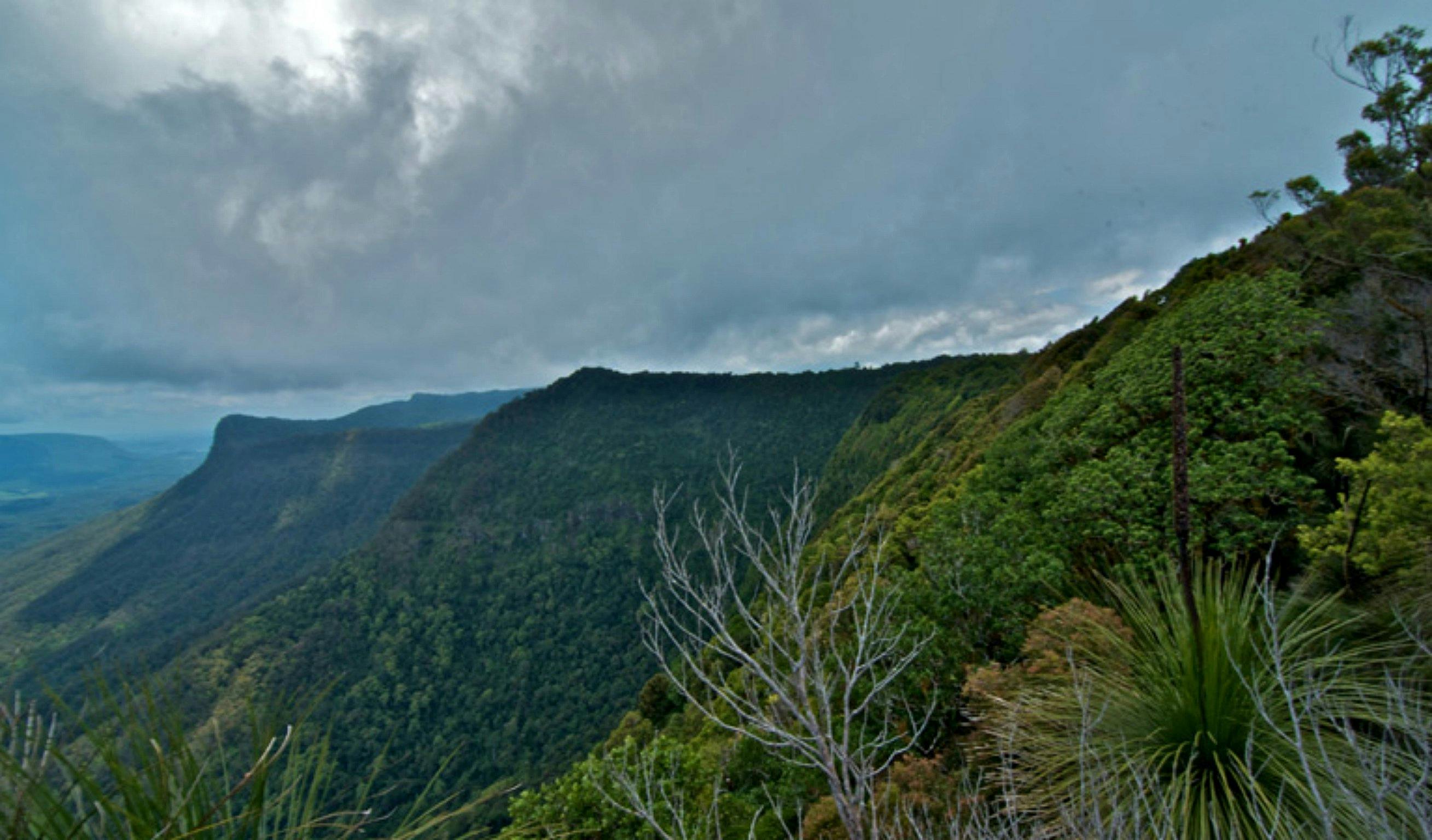 Pinnacle Walk and Lookout NSW Holidays & Things to Do