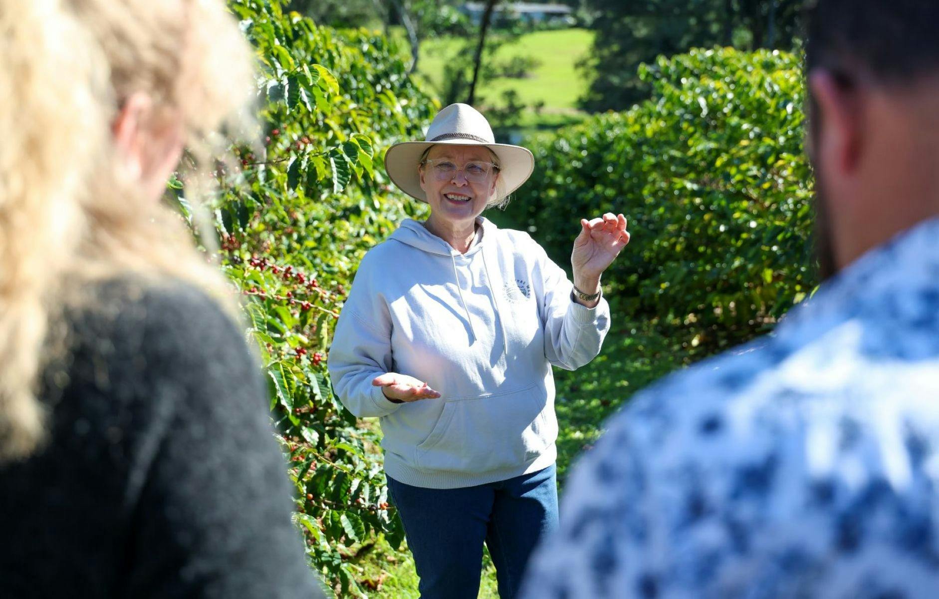 A guided coffee farm tour at Glasshouse Plantation in the Sunshine Coast Hinterland