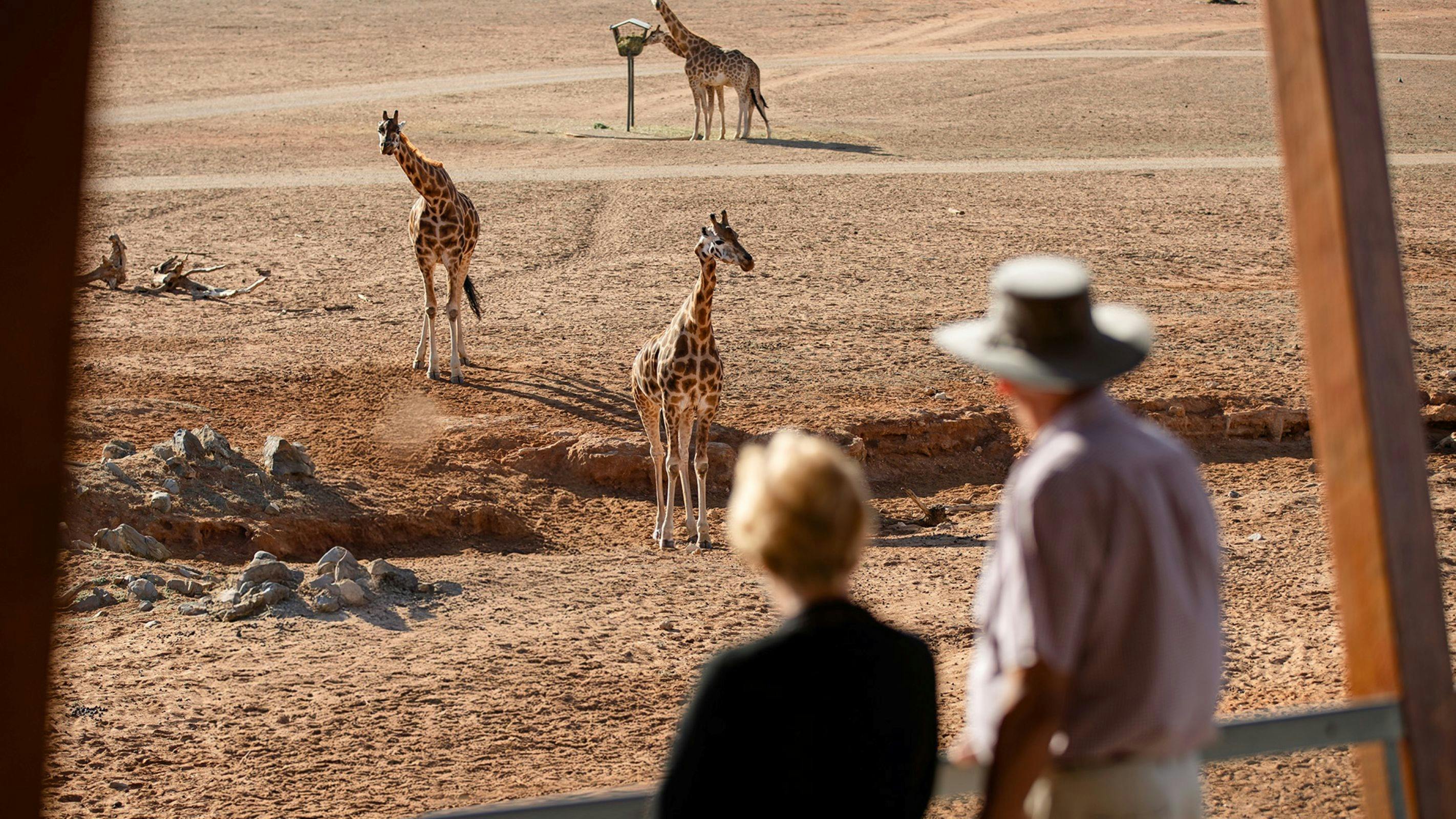 Tastes of the Wild: Langhorne Creek at Monarto Safari Park