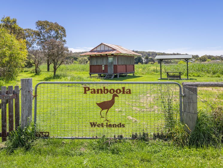 Panboola Wetlands, Pambula, Sapphire Coast NSW, walking, birdwatching, cycling