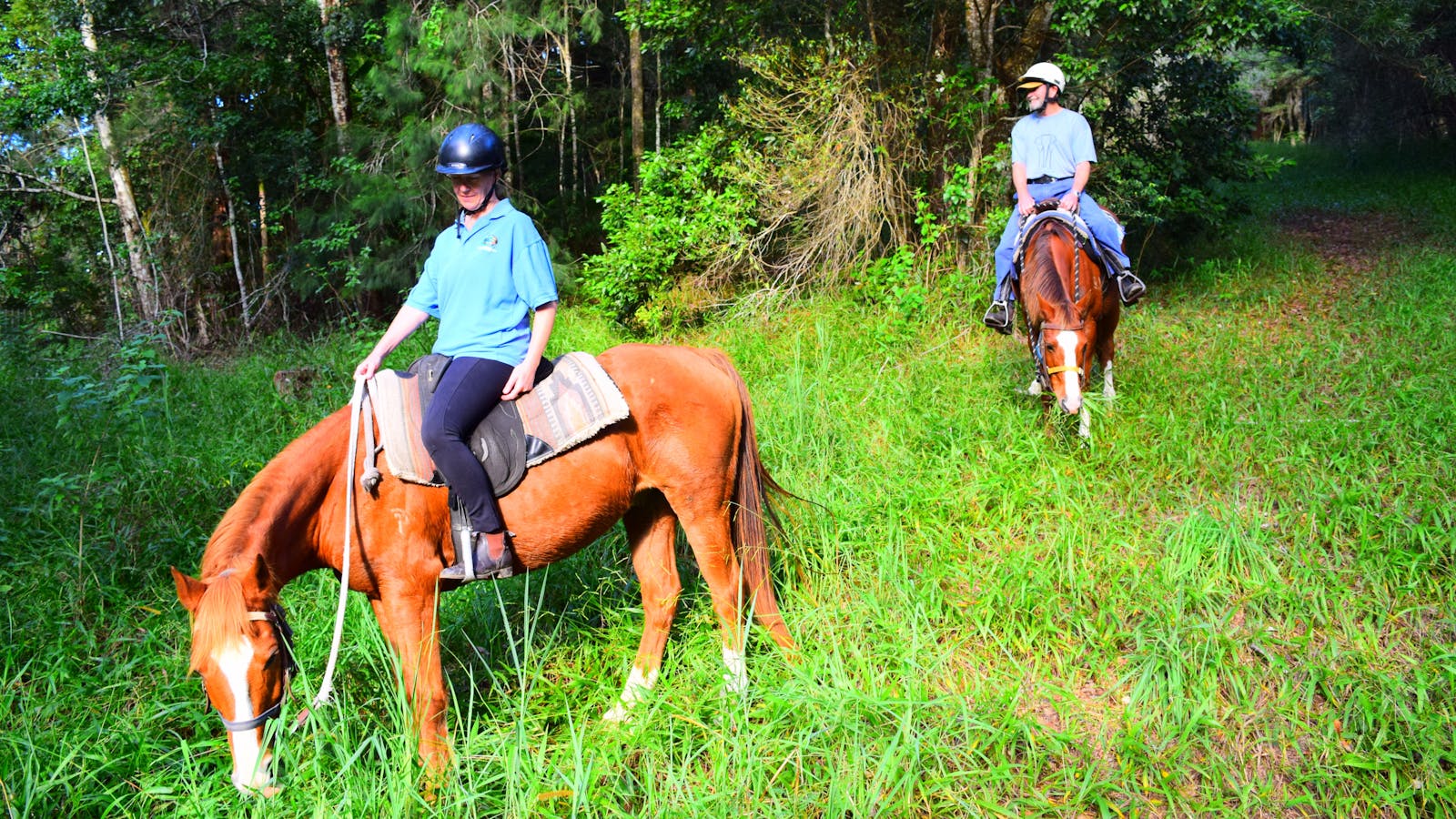 HWH Stables - Riding School and Trail Rides