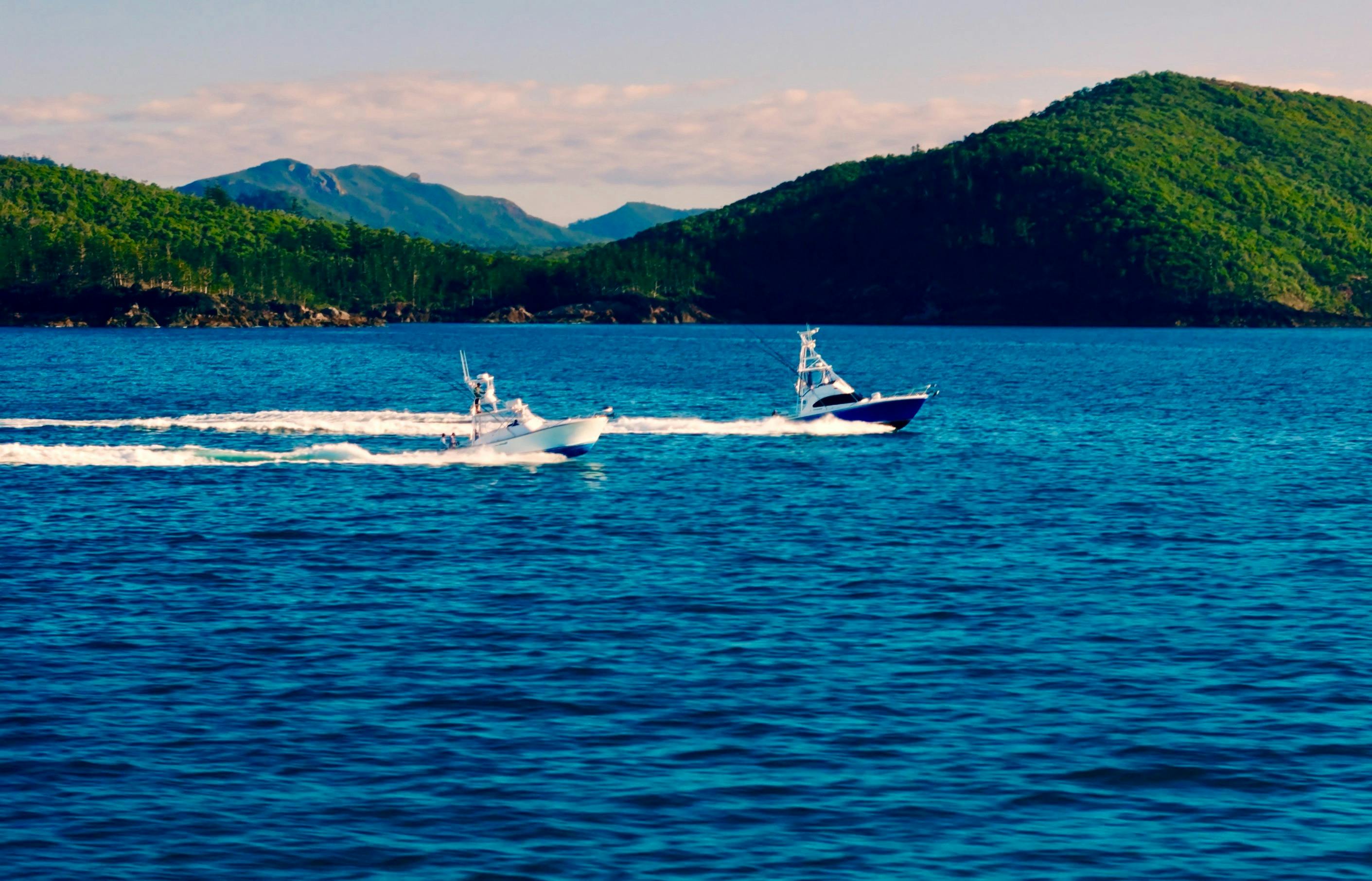 The Pirate & Moonshine