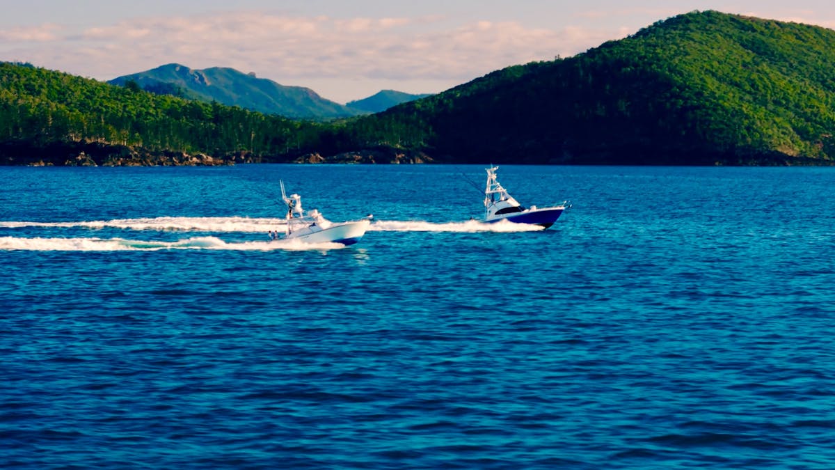 The Pirate & Moonshine Topnotch Game Fishing Hamilton Island