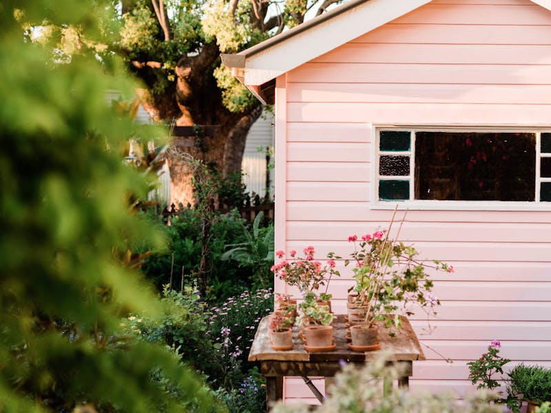 outdoor potting shed + garden +  Norwood Roses