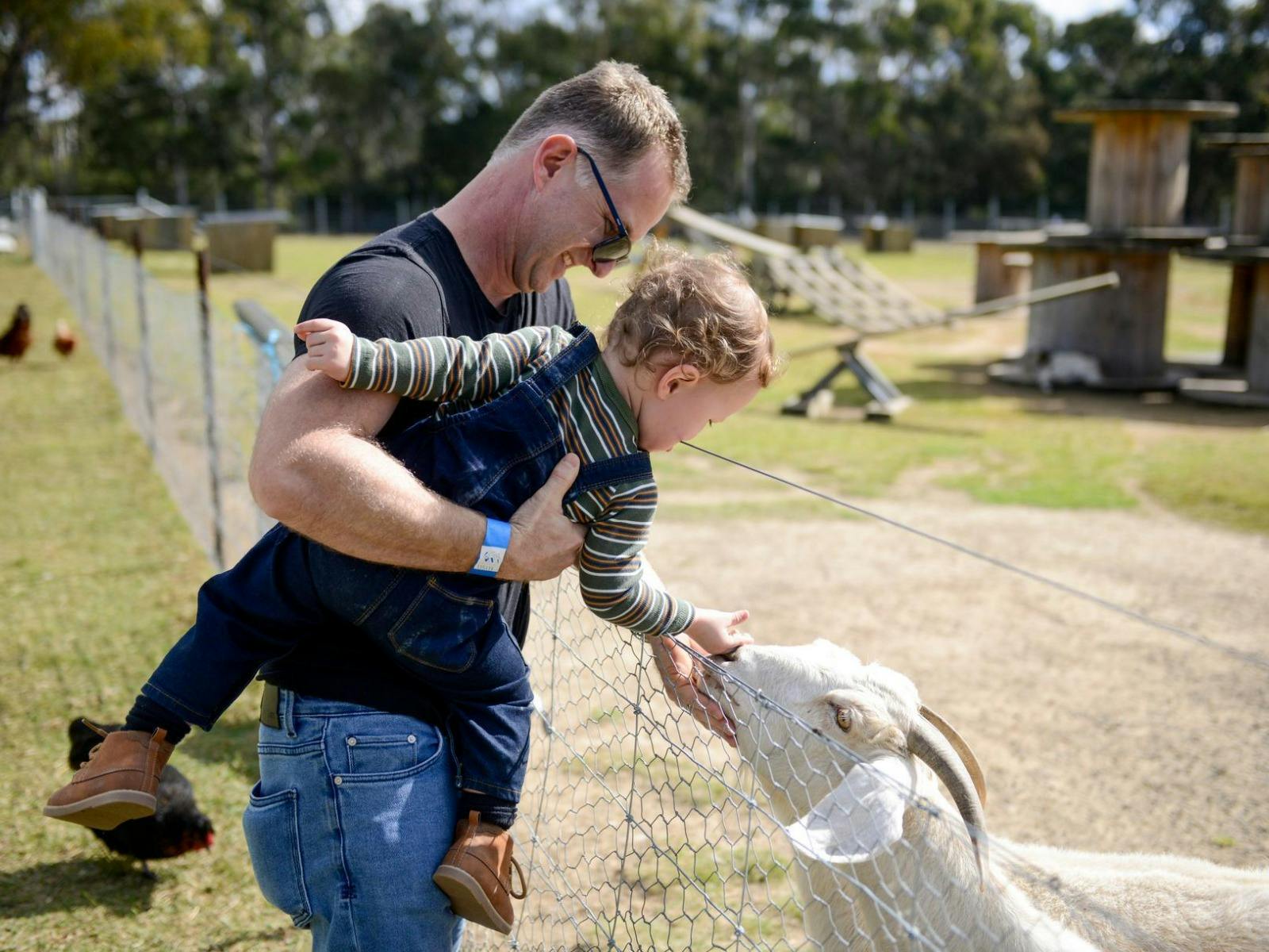 Child petting a goat