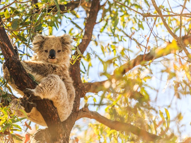 Bairnsdale Visitor Information Centre