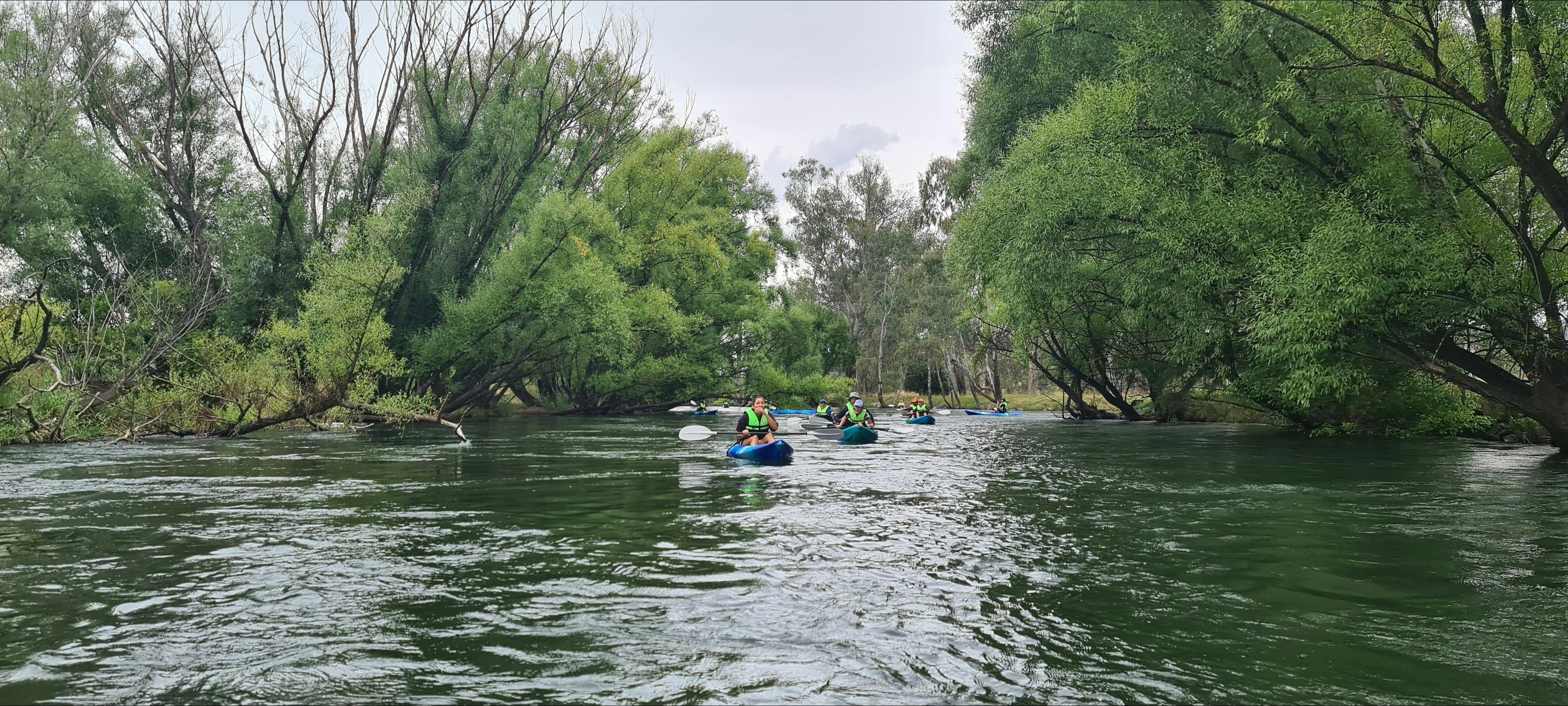 Canoe hire Tumut - Tumut kayak adventures
