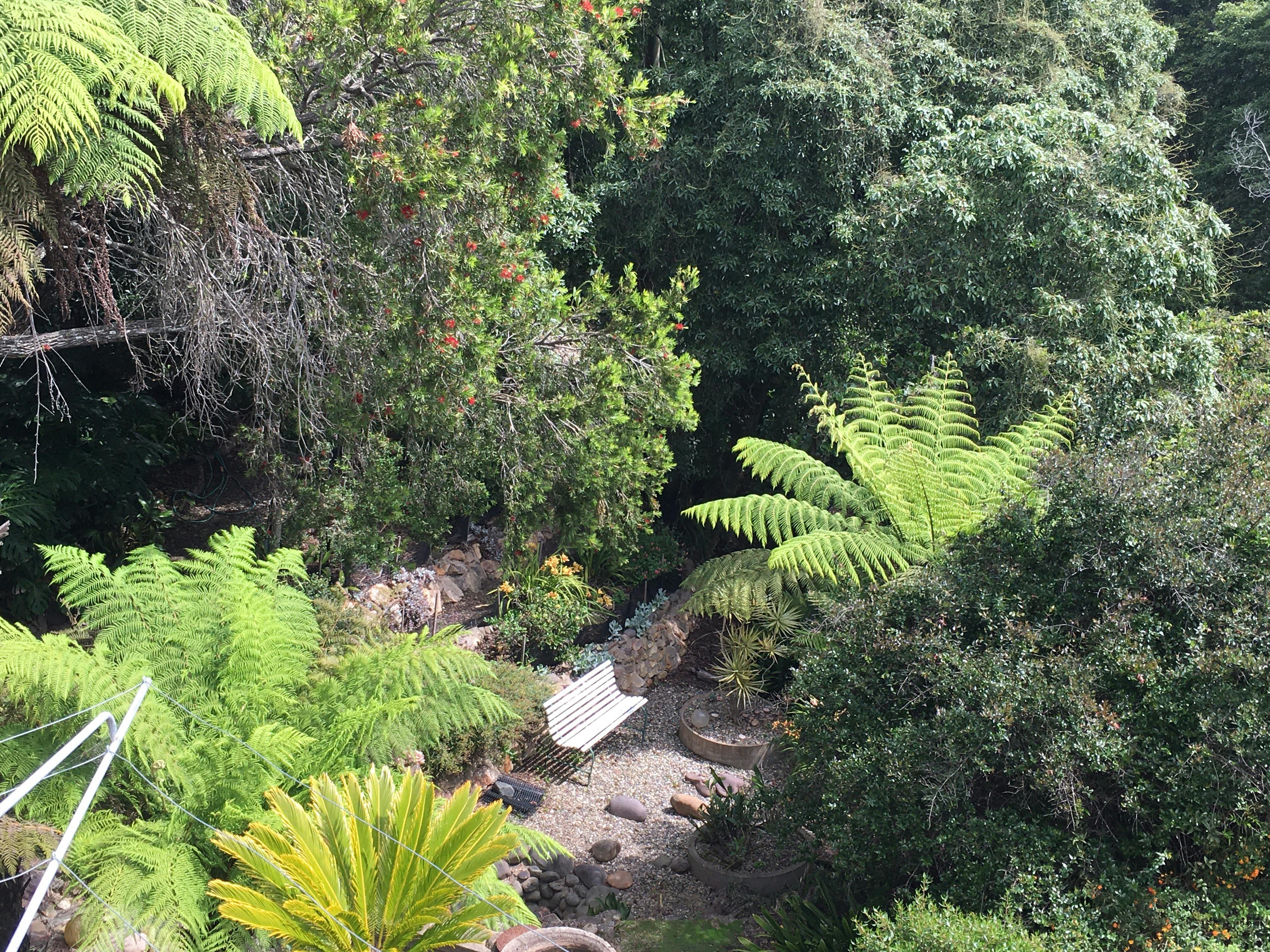 Extensive rear garden . View from the deck