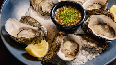 Oysters on plate