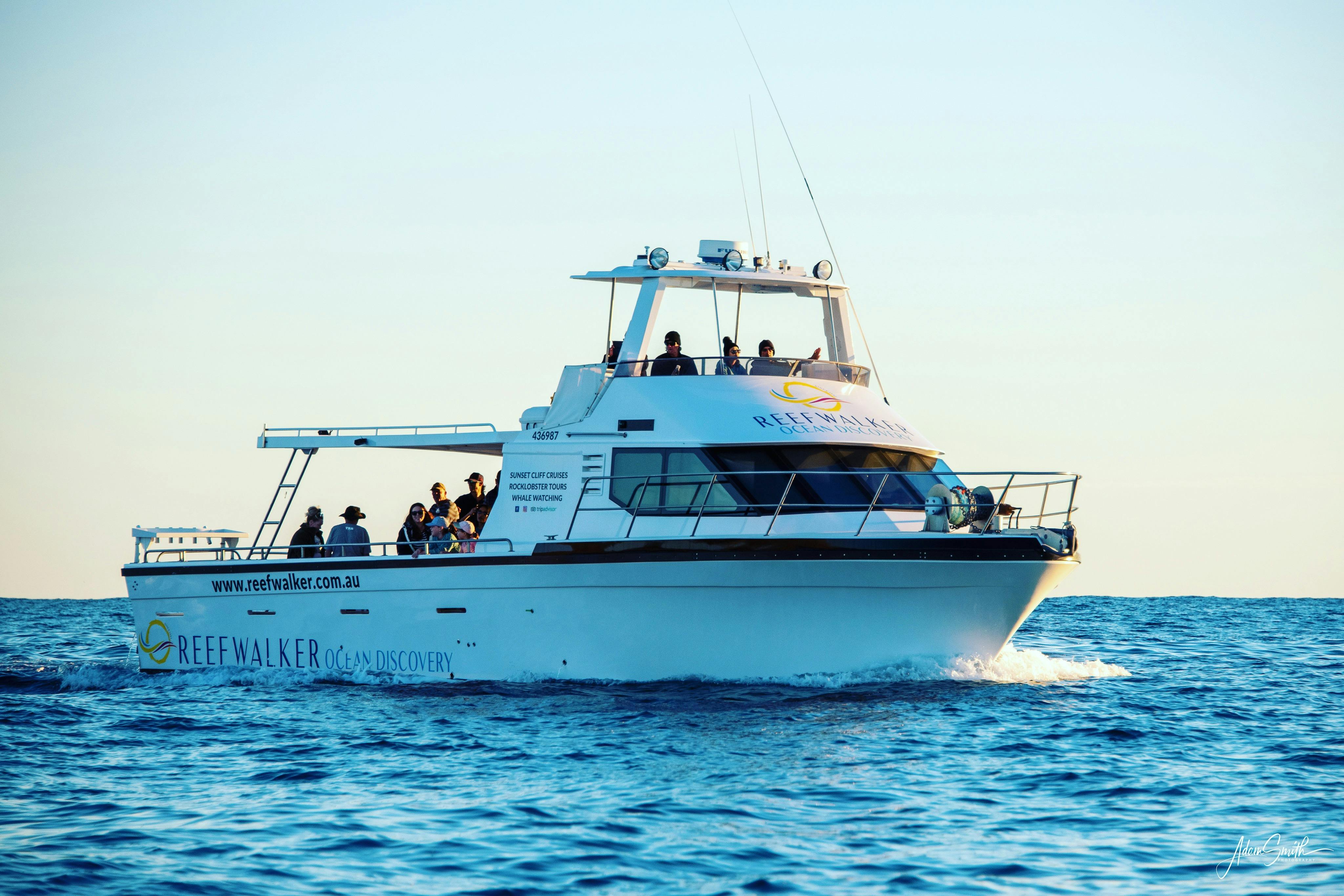Our vessel