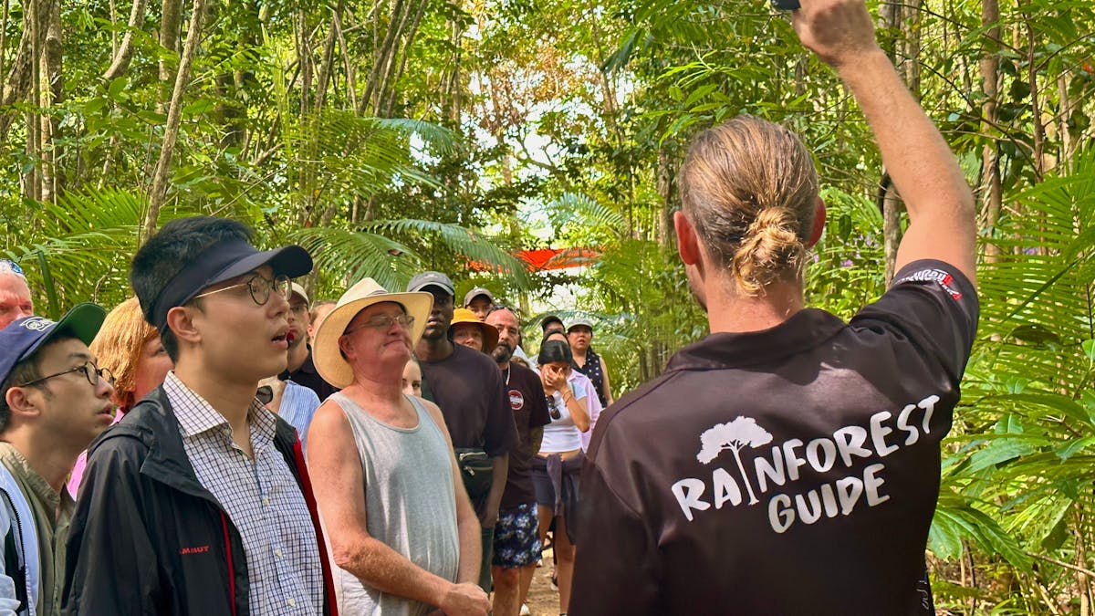 Rainforest Guide holds up Cassowary Plum for guest to see in Daintree Rainforest North of Cairns