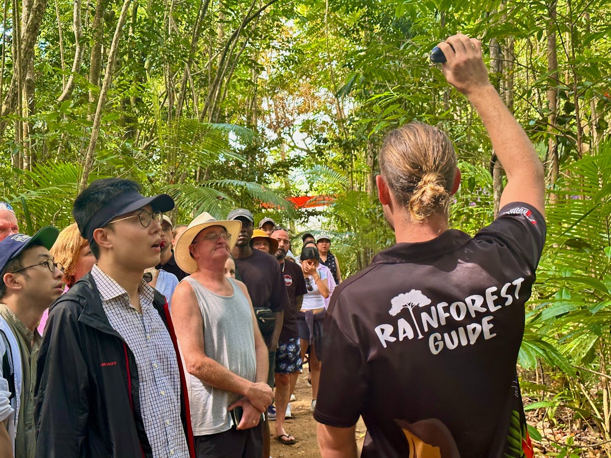 Rainforest Guide holds up Cassowary Plum for guest to see in Daintree Rainforest North of Cairns