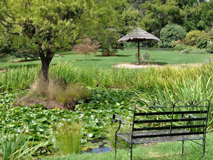 Garden Bench, trees, pond, water lillies