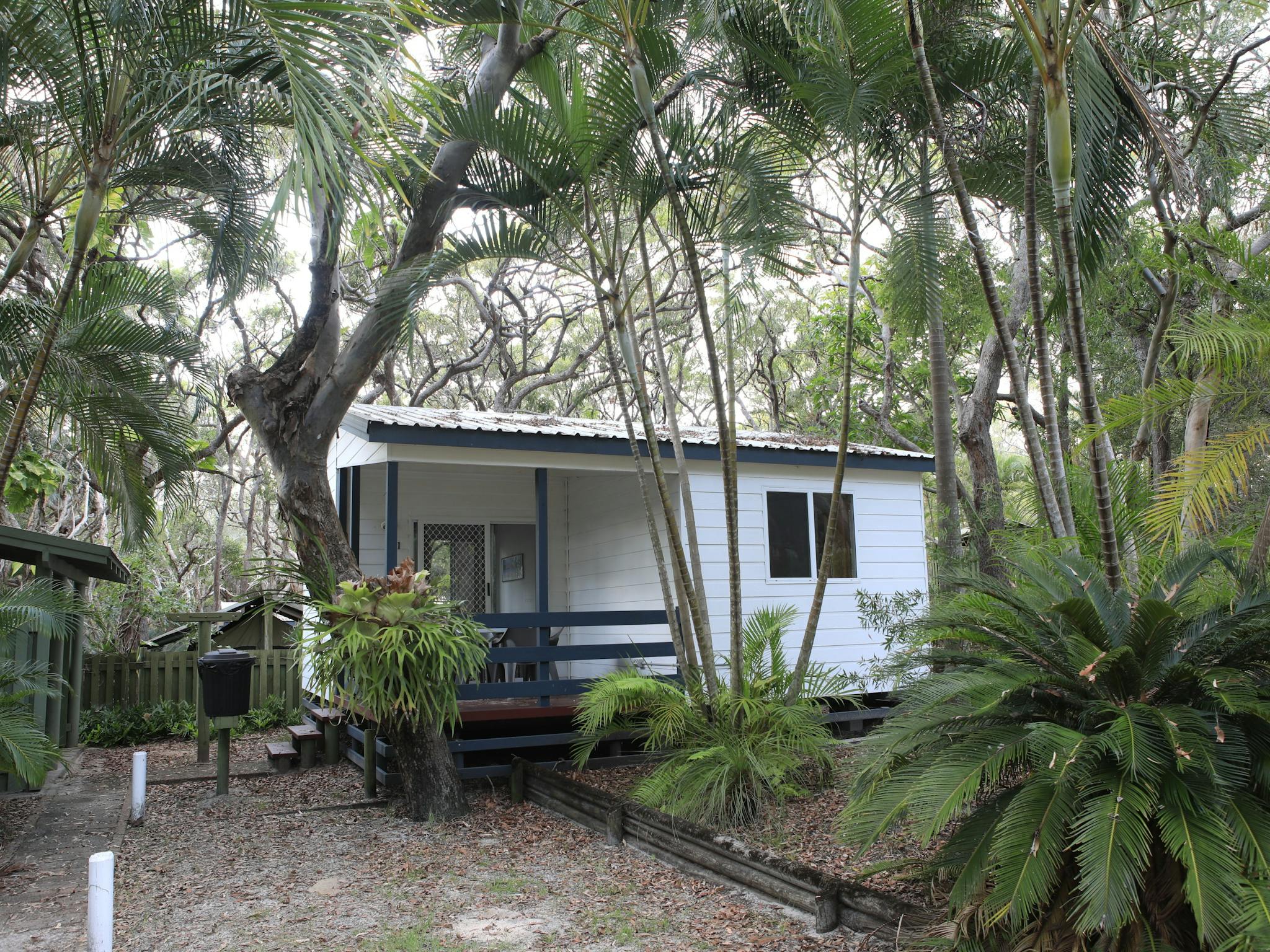Cabin Cabin