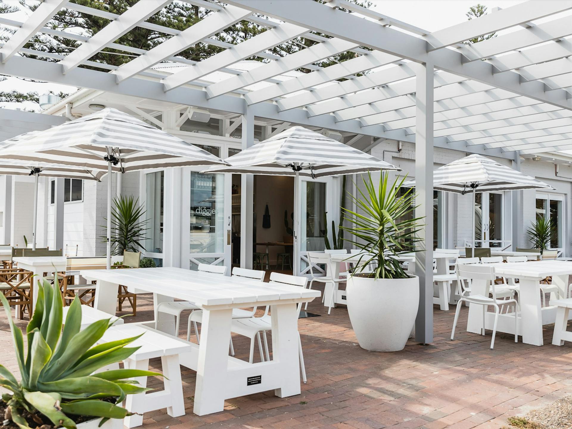 <b>Diggies</b> Kiama