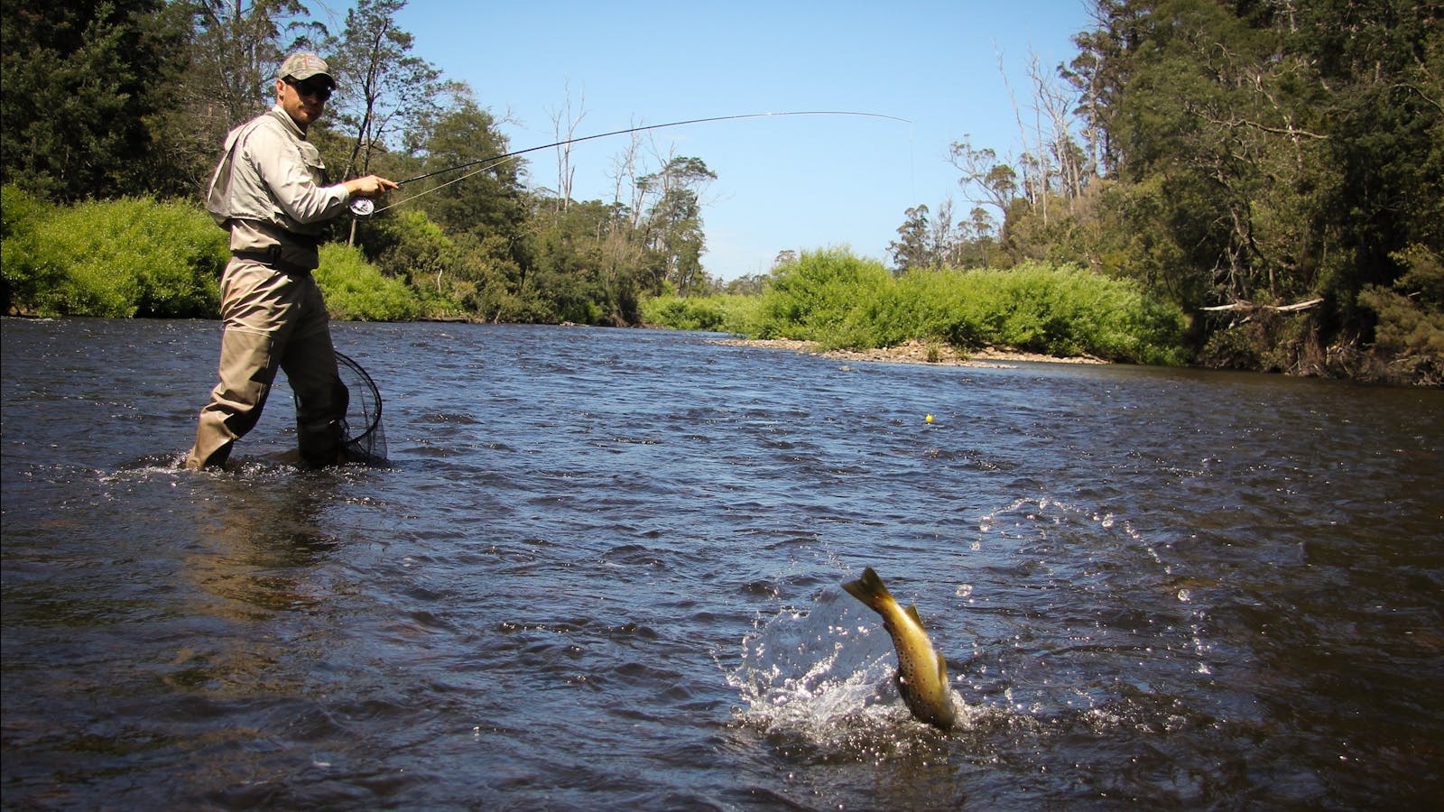Tasmanian river fishing