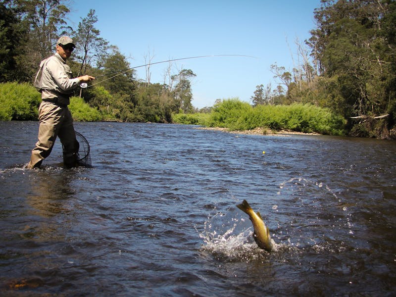 Tasmanian river fishing