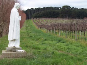 St Marcellin Champagnat looks over the vineyard, reflecting a love of rural life and learning
