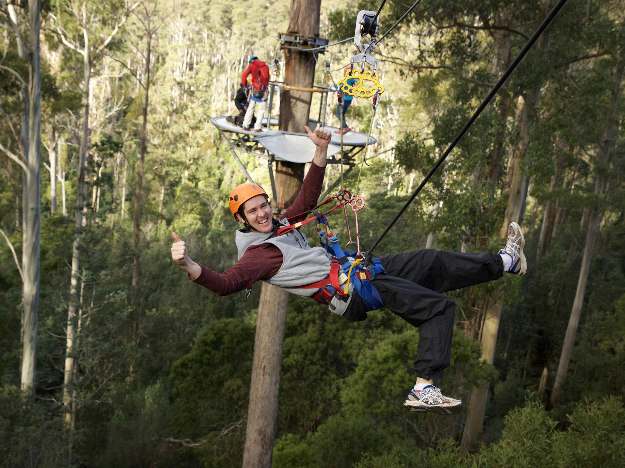Treetops Adventure Hollybank | Browse and Book Nearby Caravan Parks