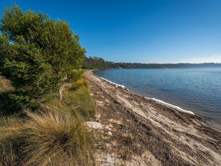 Jewfish walk, Nadgee Nature Reserve. Photo: John Spencer