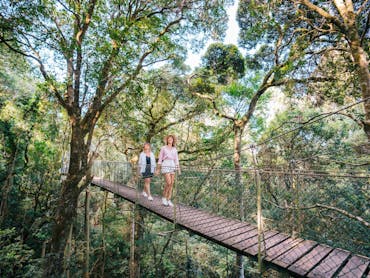 Two women walking on a rainforest canopy bridge