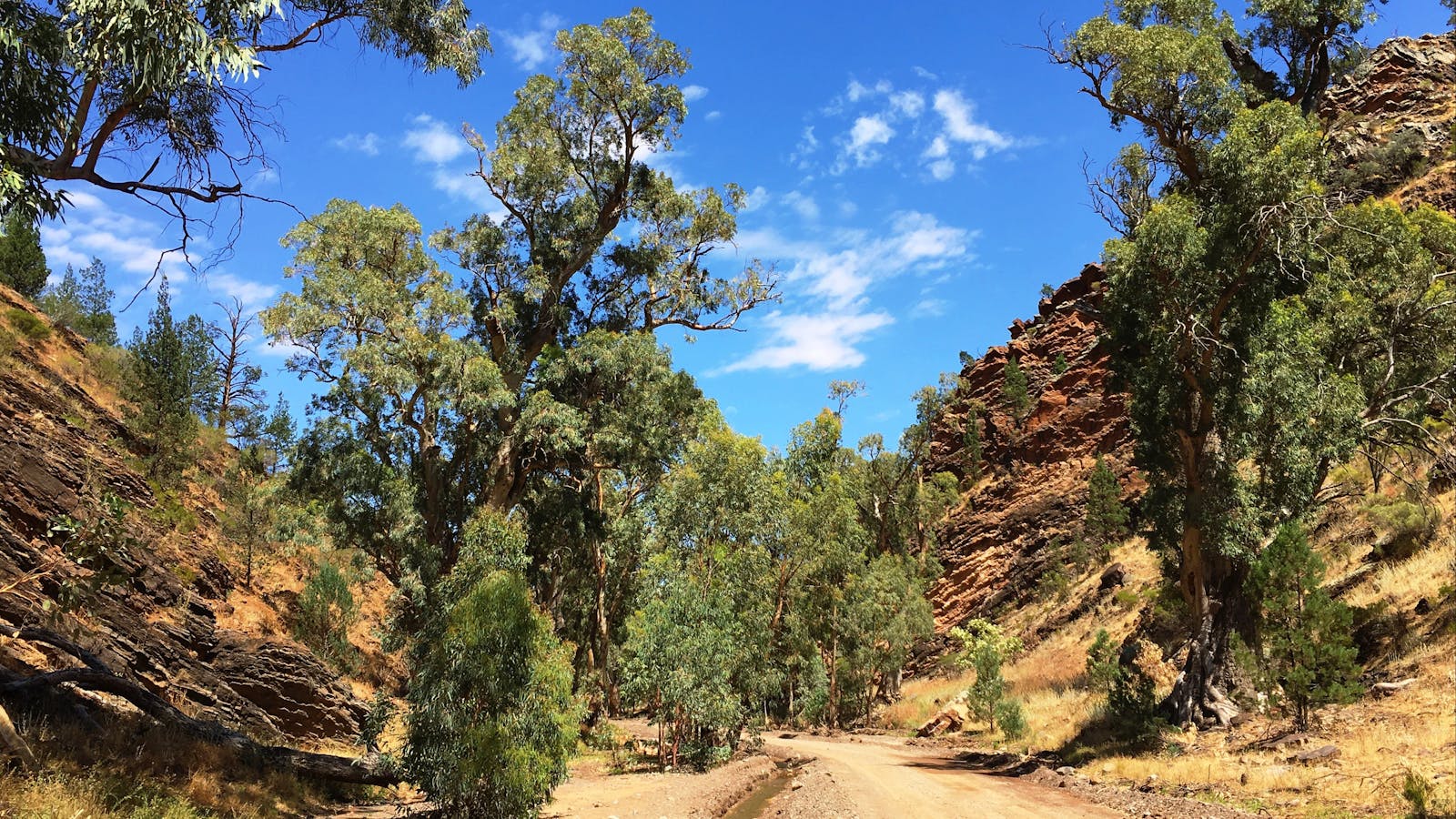 Half Day 4WD Tour - Wilpena Pound Resort
