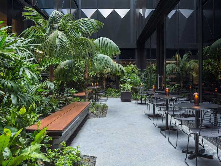 The immersive 'jungle' atrium is an urban oasis in the city to enjoy the sunlight all day.