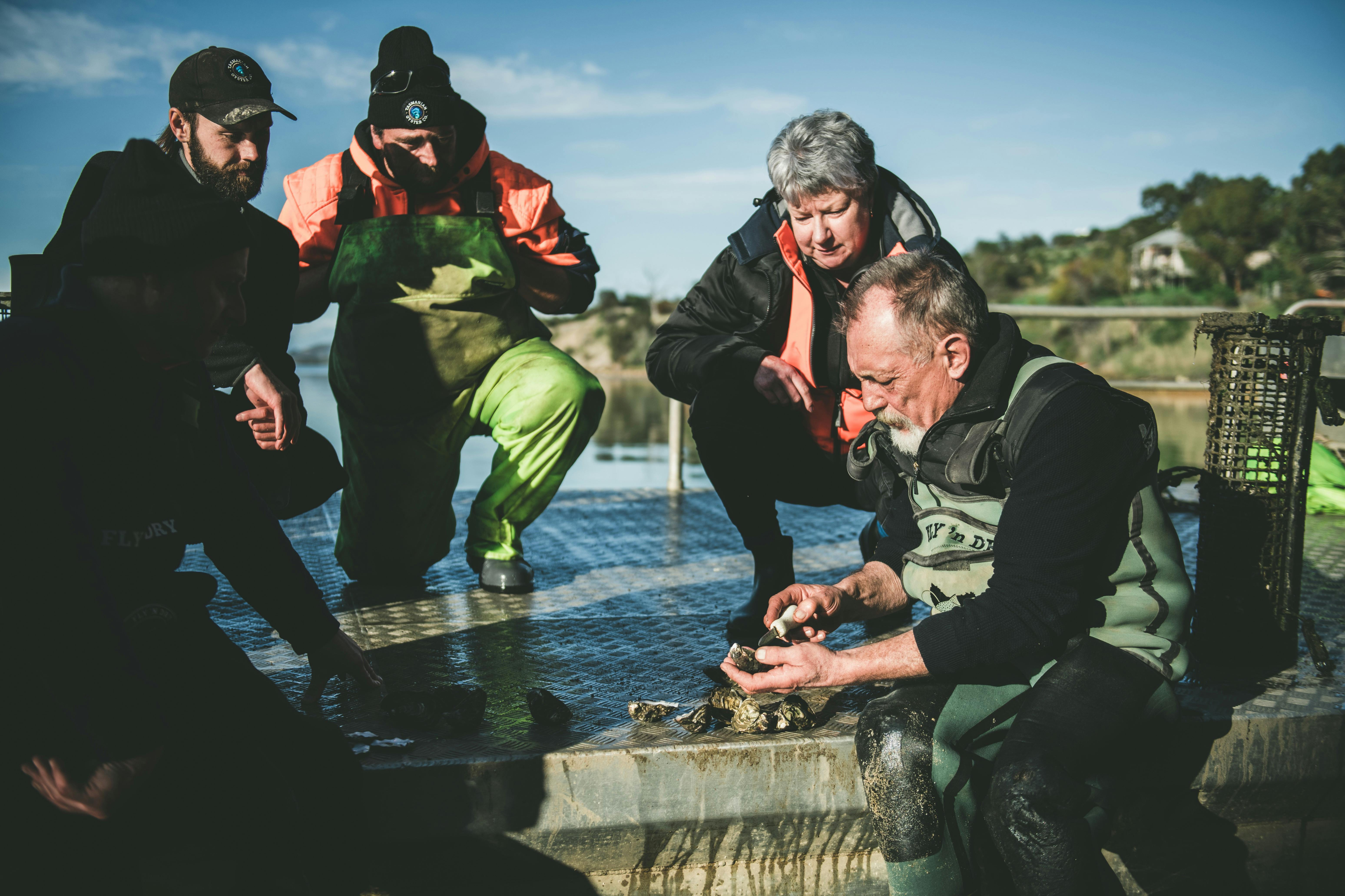 Tasmanian Oyster Company Tour Discover Tasmania