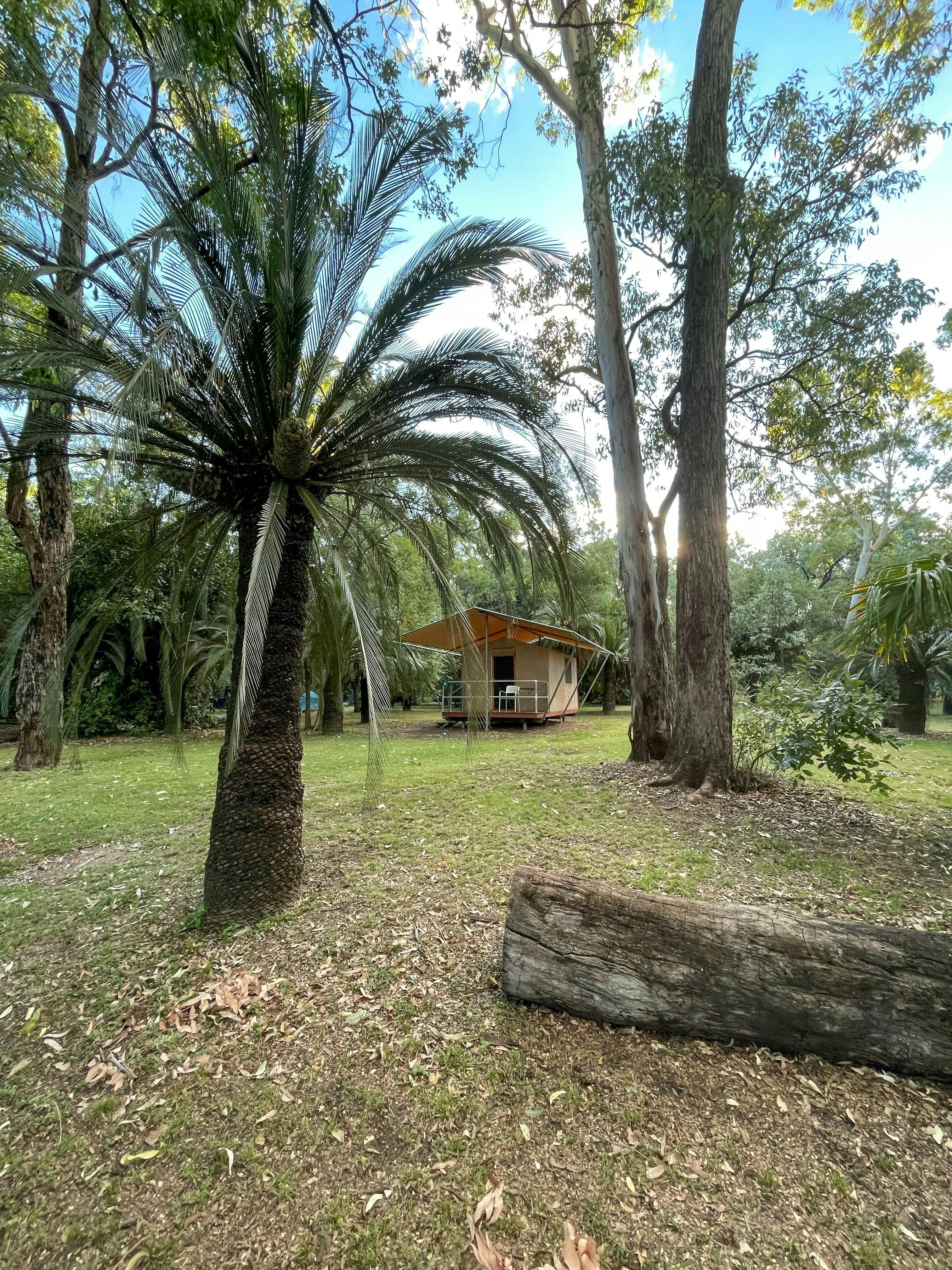 Exterior of tent