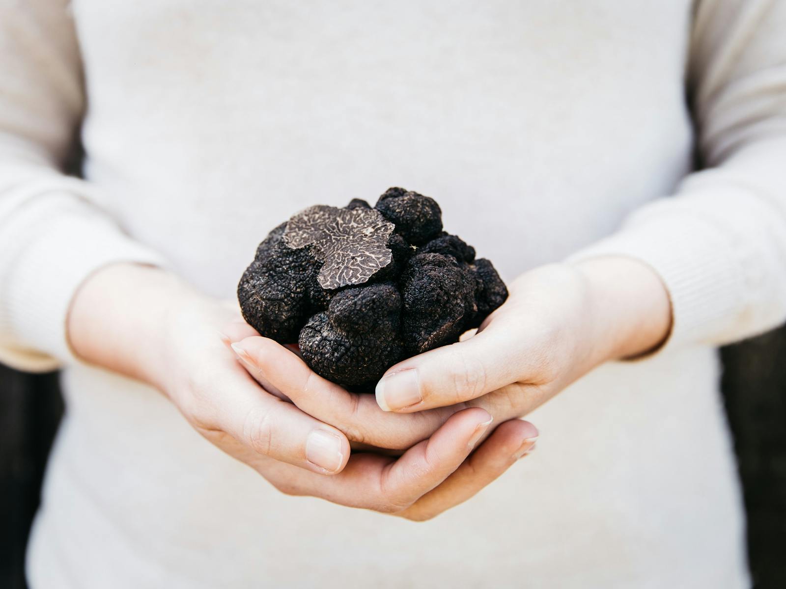 Truffle Hunt