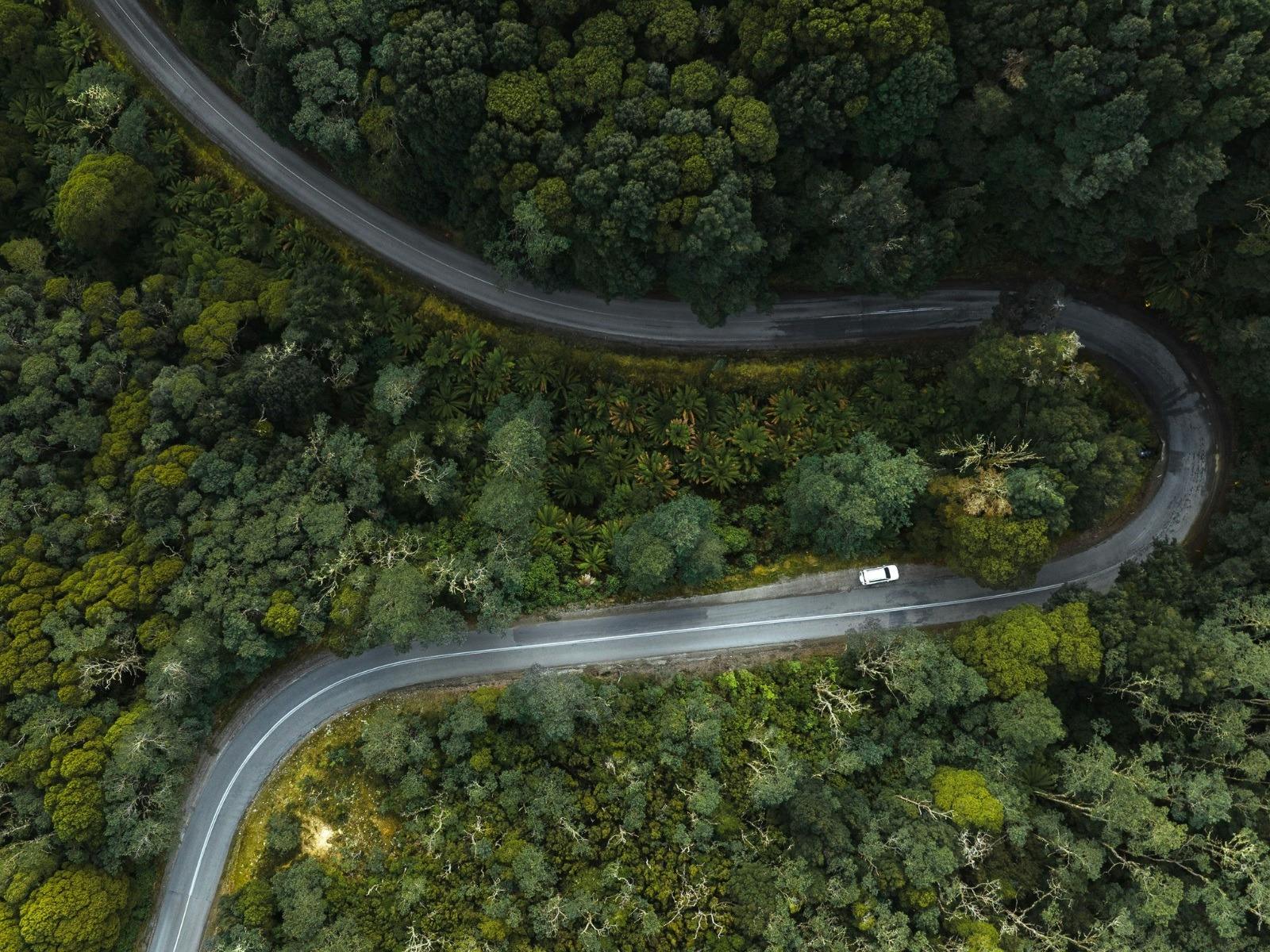 An aerial view shows a vehicle parked on a winding forest road