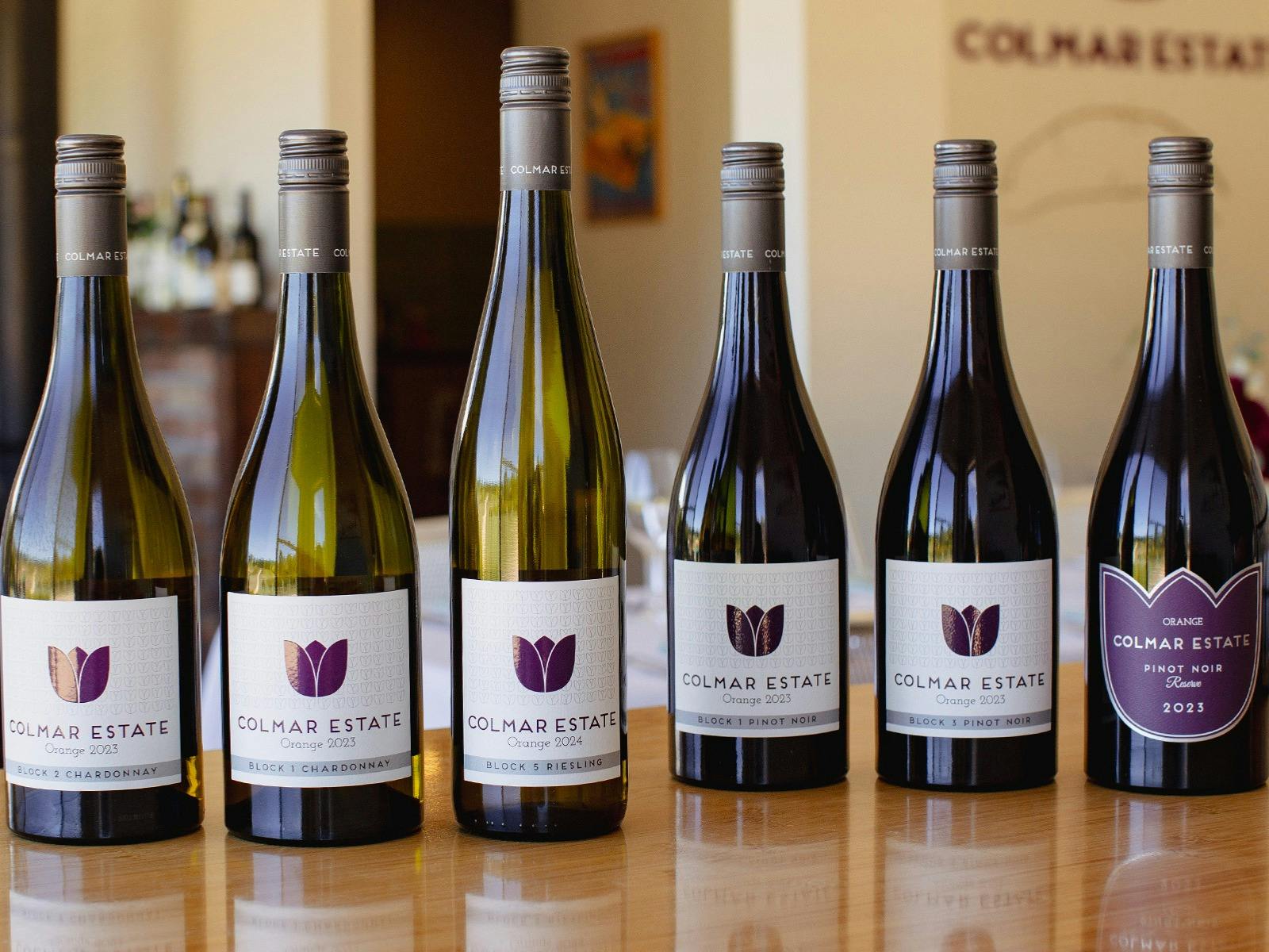 Colmar X Lucetta: A Long Lunch with Jazz in the Vines