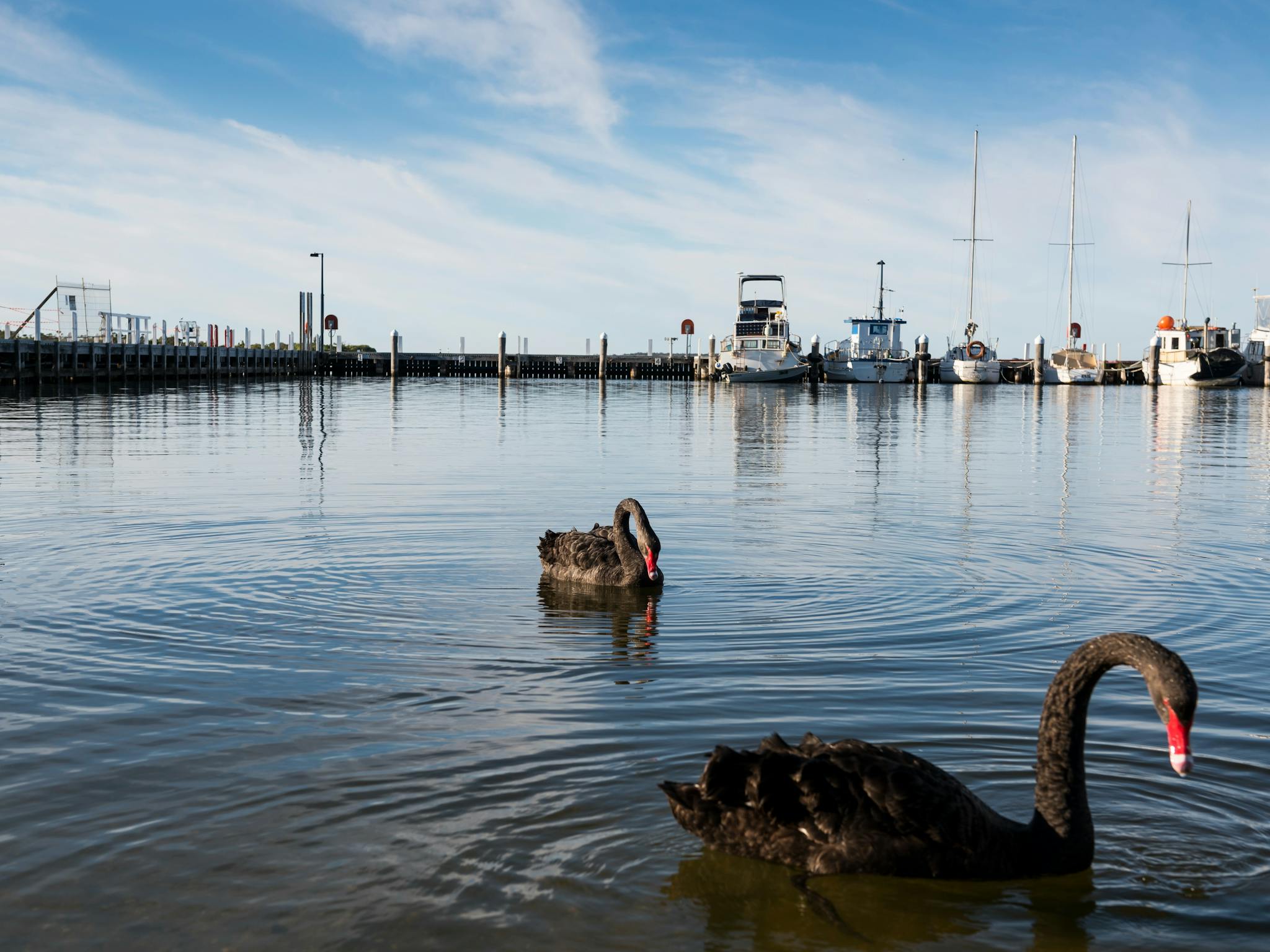 Progress Jetty Paynesville