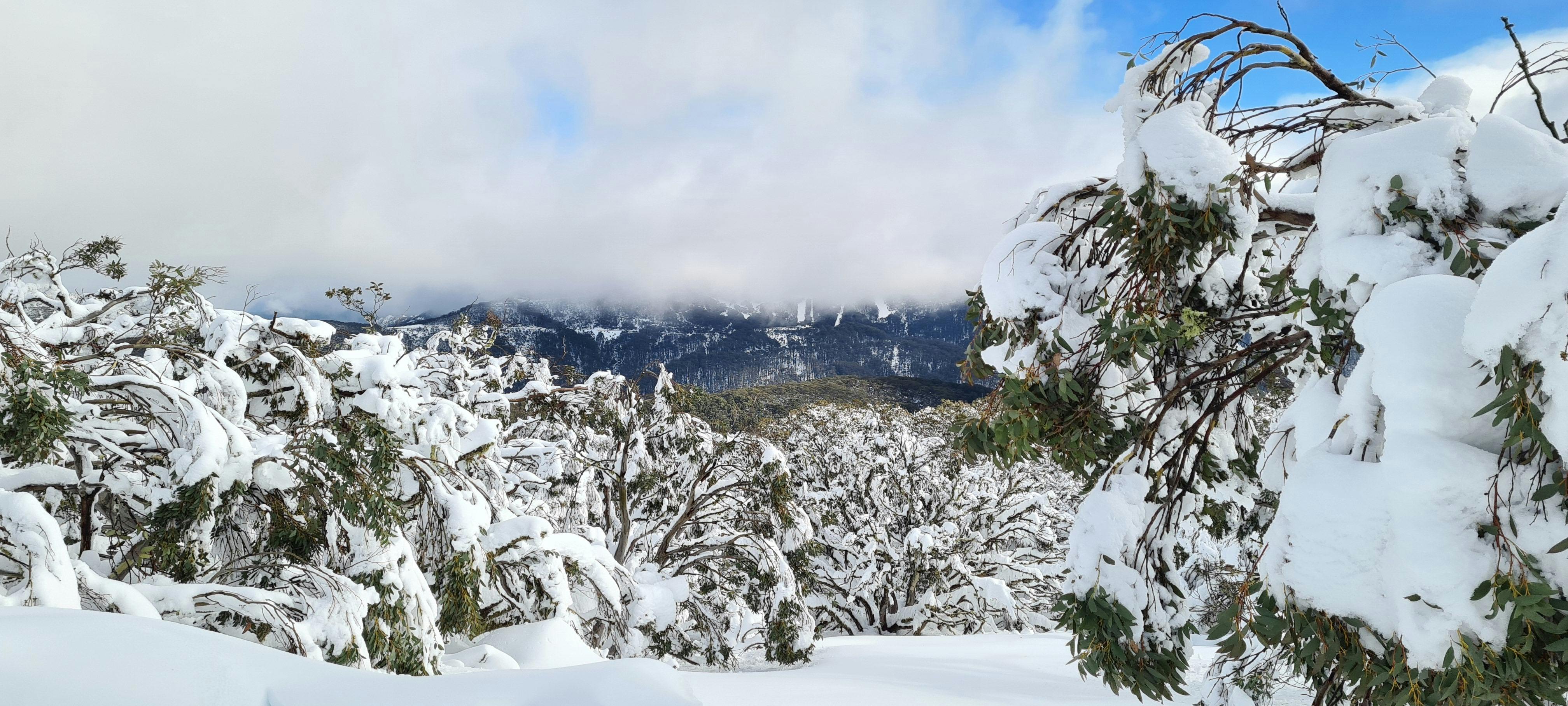 Part of Mt Buller is poking out under the clouds.