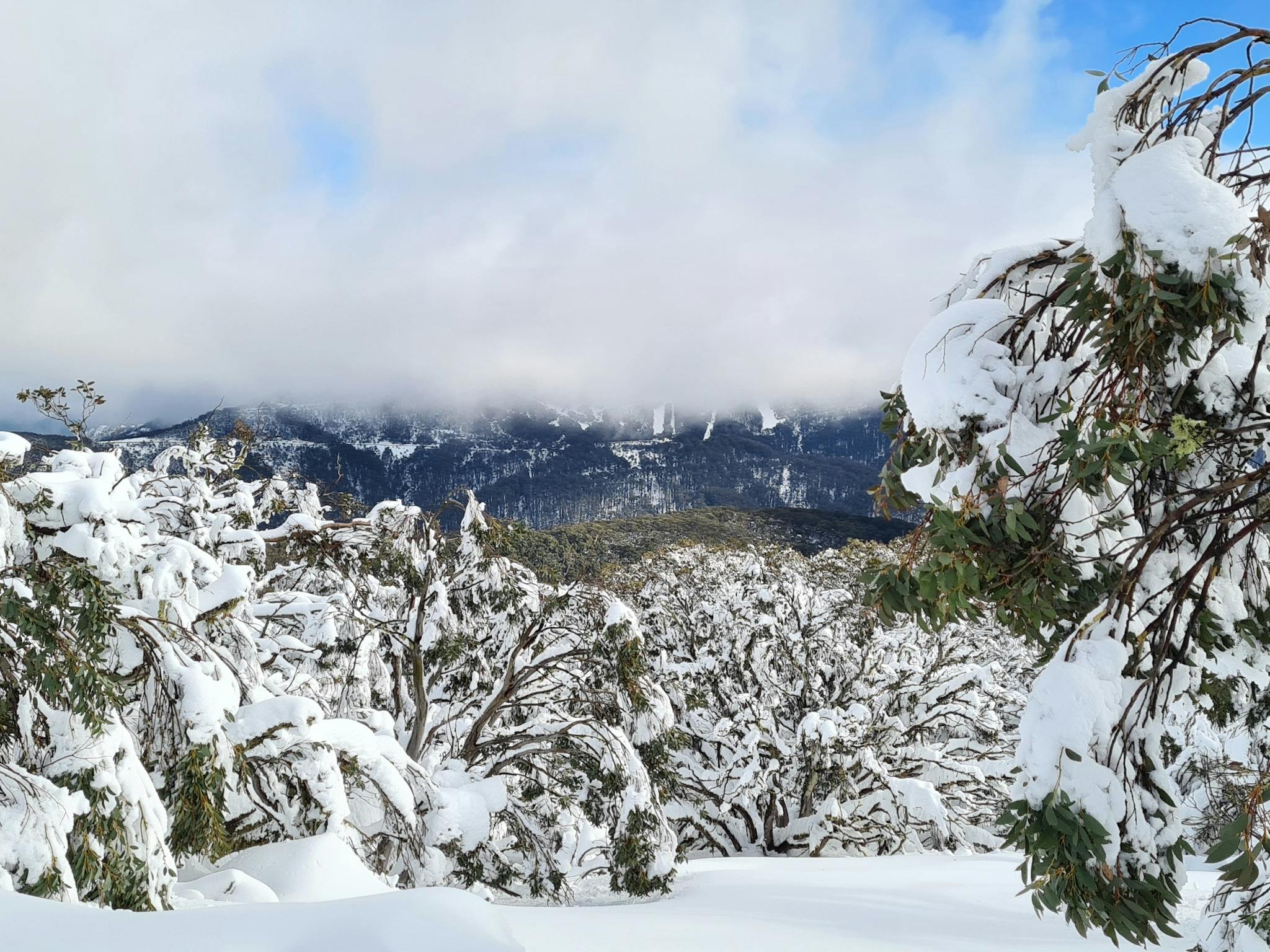 Part of Mt Buller is poking out under the clouds.