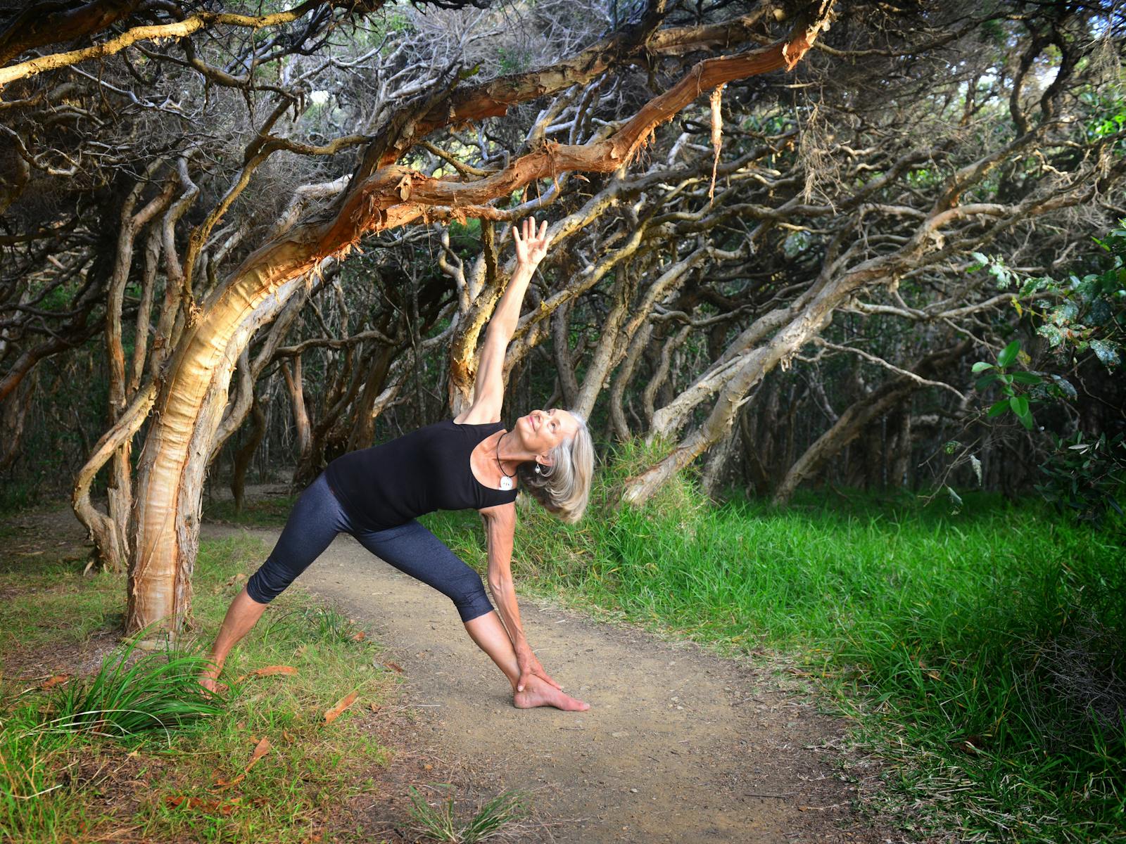 Image for The Art of Aging - Art Exhibition