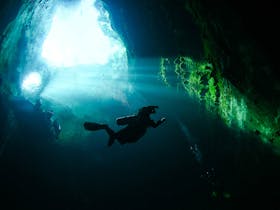 Image of a diver taken from the depths of Kilsby Sinkhole, looking towards the surface.