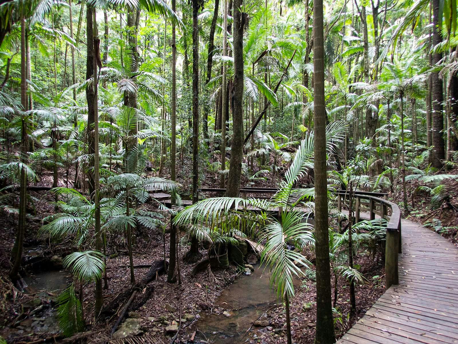 Walking track Maiala