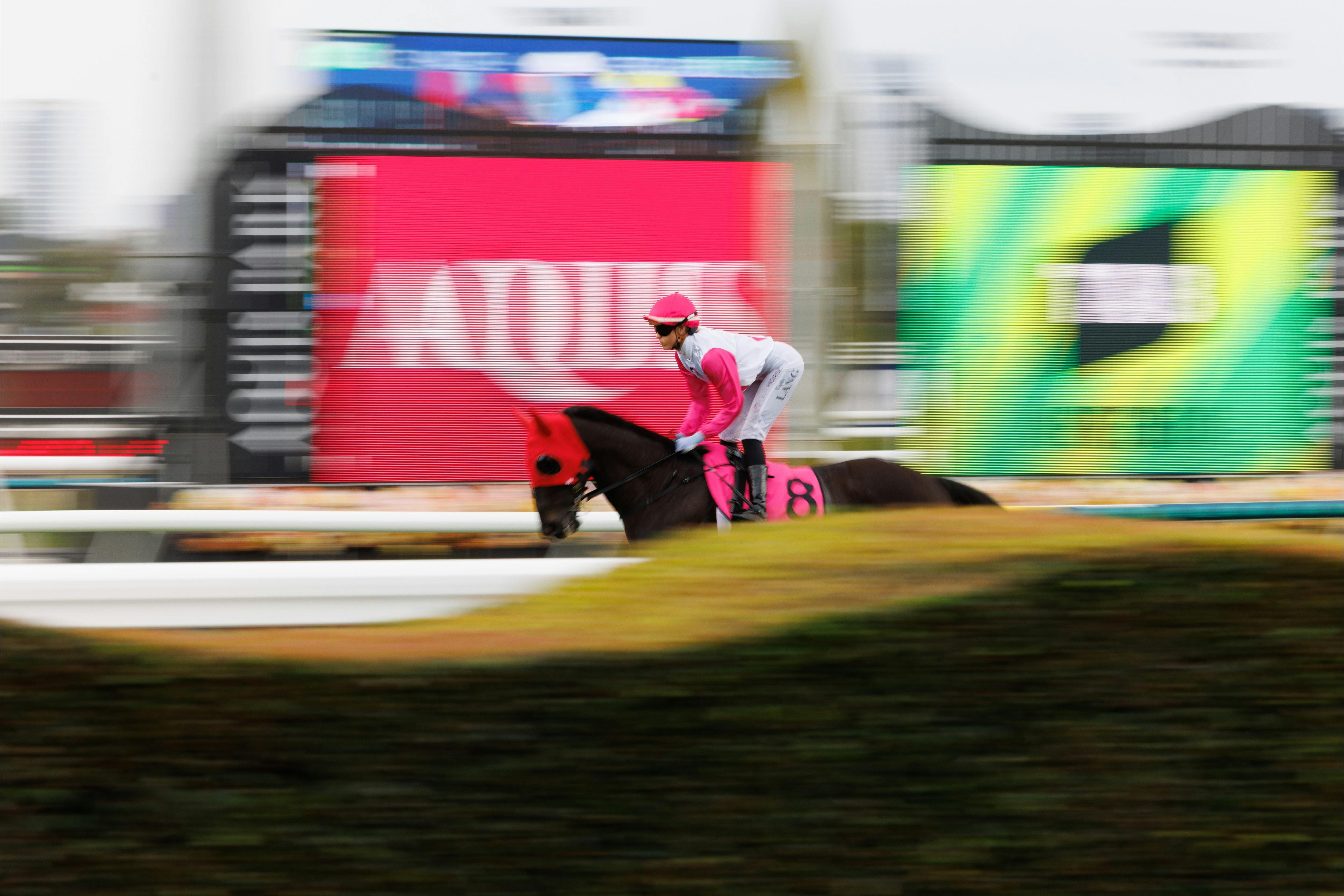 Pink Ribbon Raceday