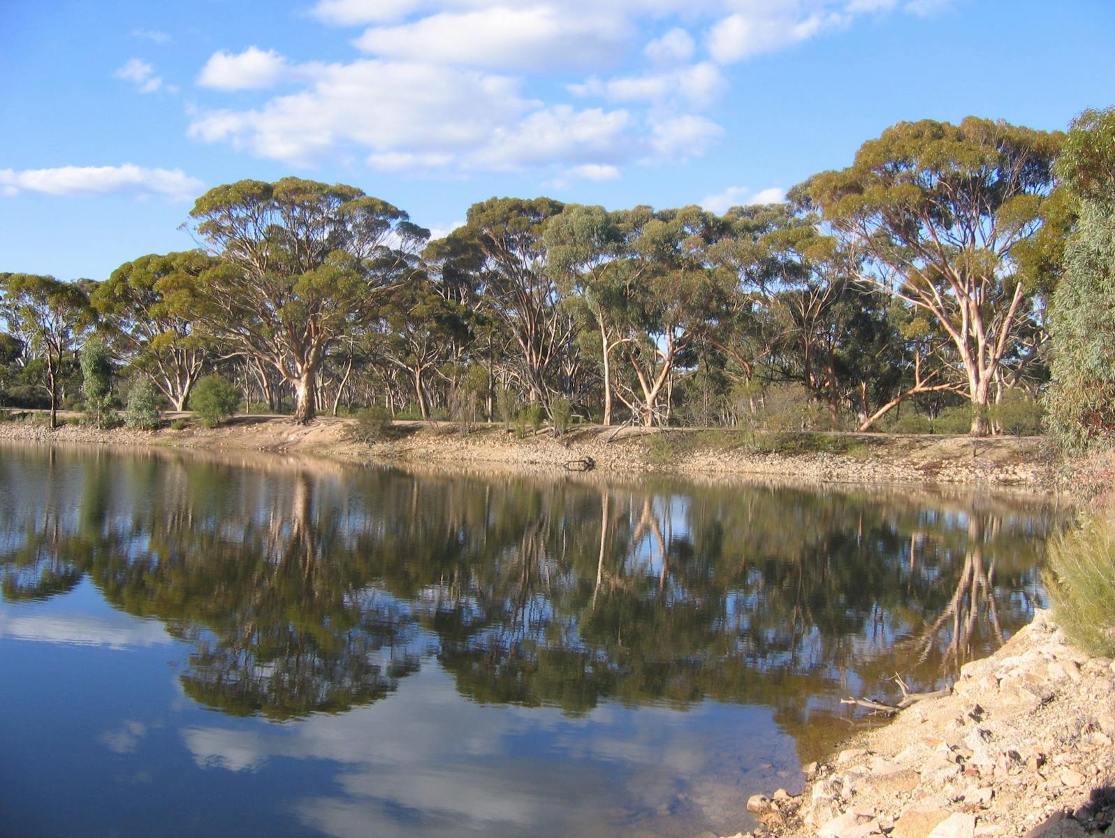 Merredin Peak Trail