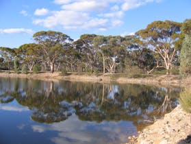 Merredin Peak Trail