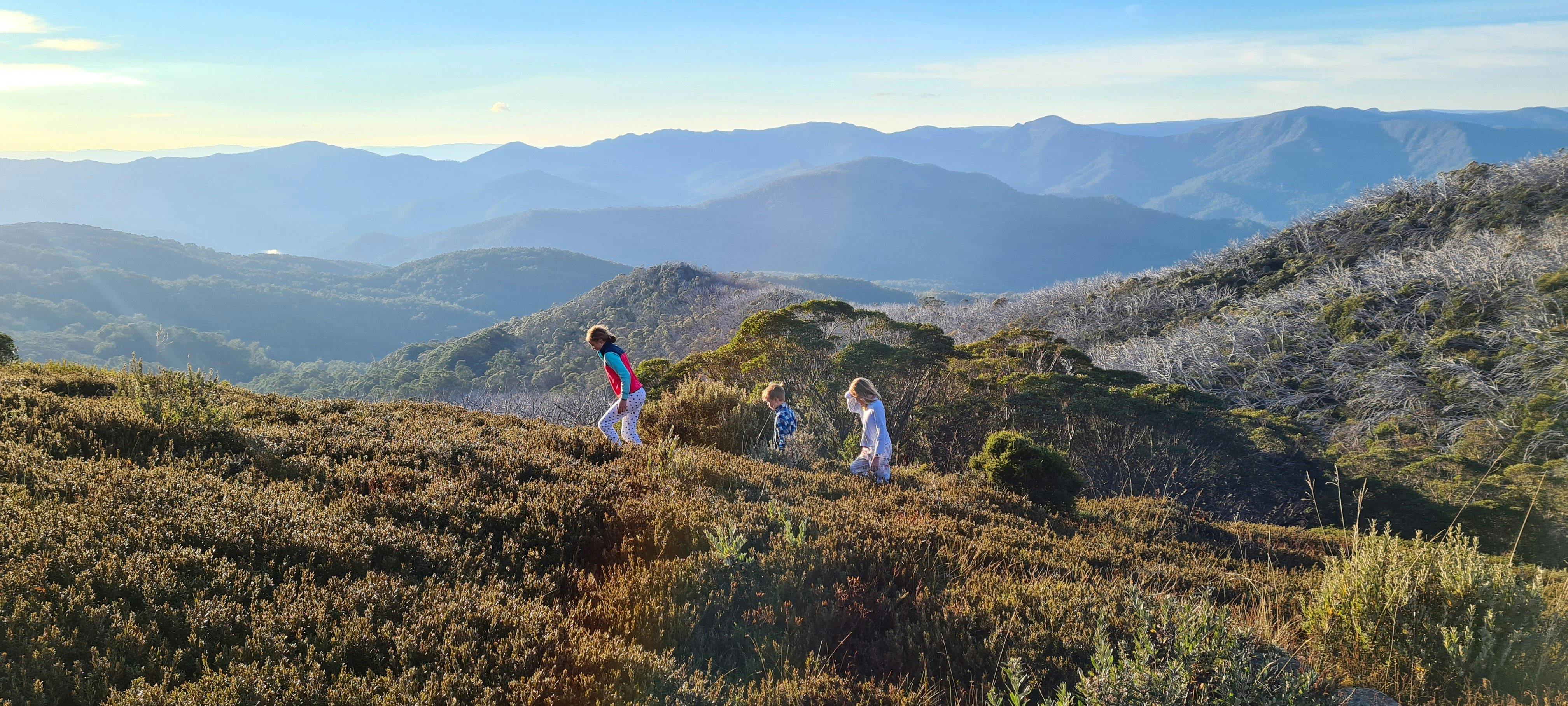 Children looking for Easter Eggs with The Crosscut Saw mountain range as a backdrop.
