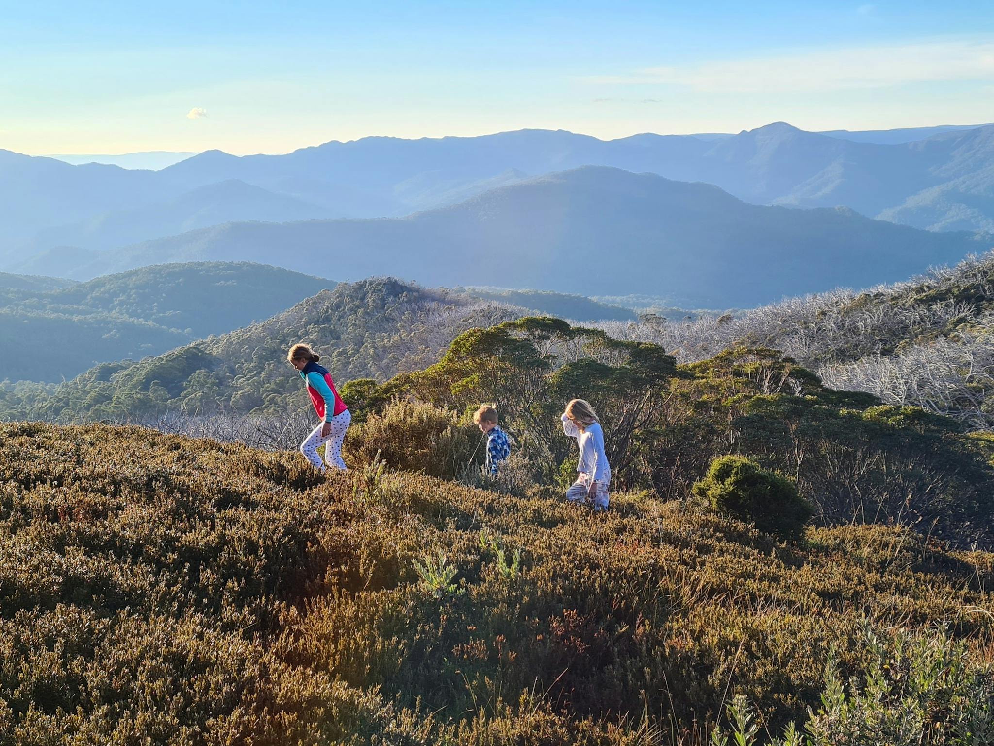 Children looking for Easter Eggs with The Crosscut Saw mountain range as a backdrop.