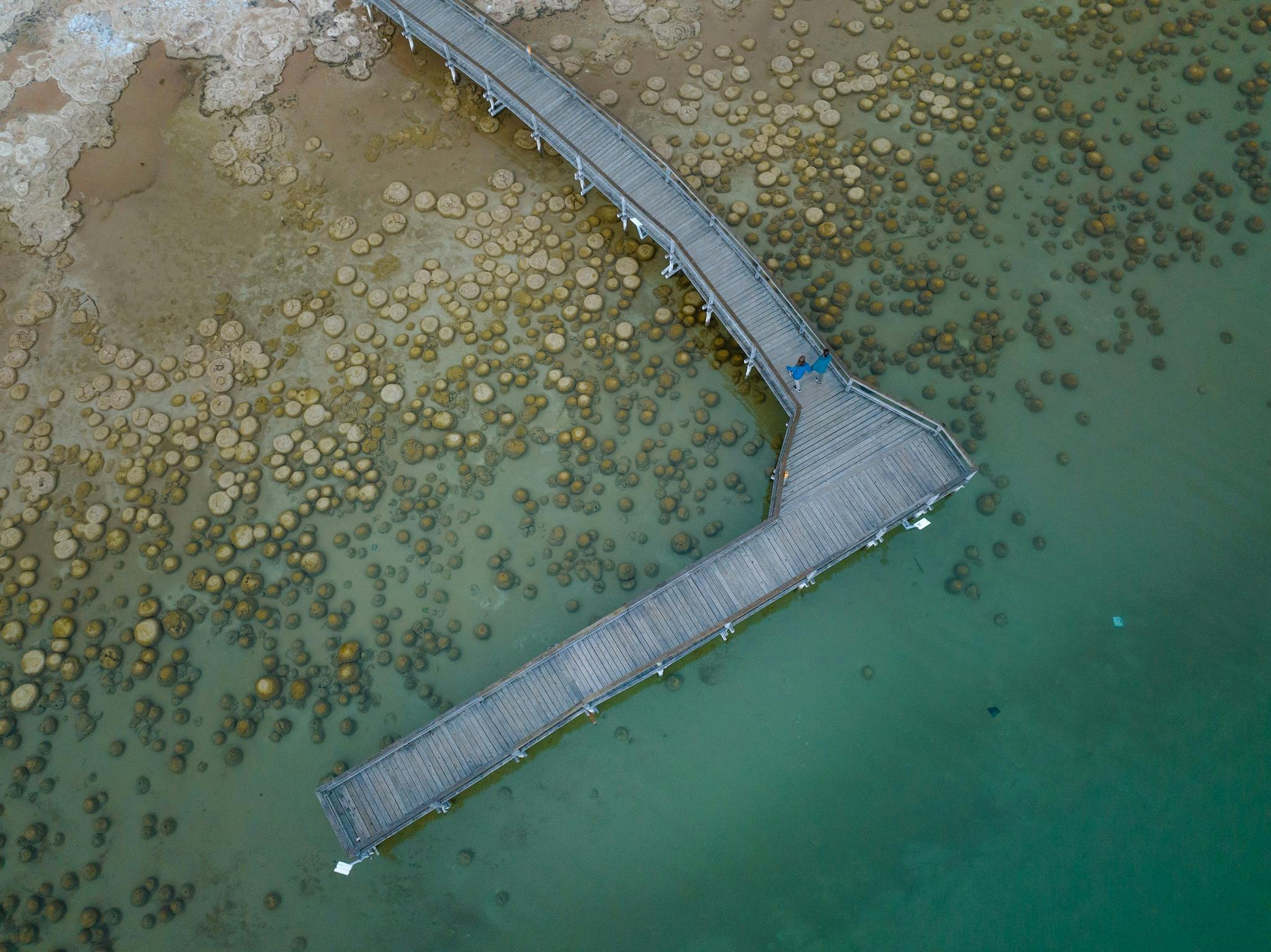 Lake Clifton Thrombolites