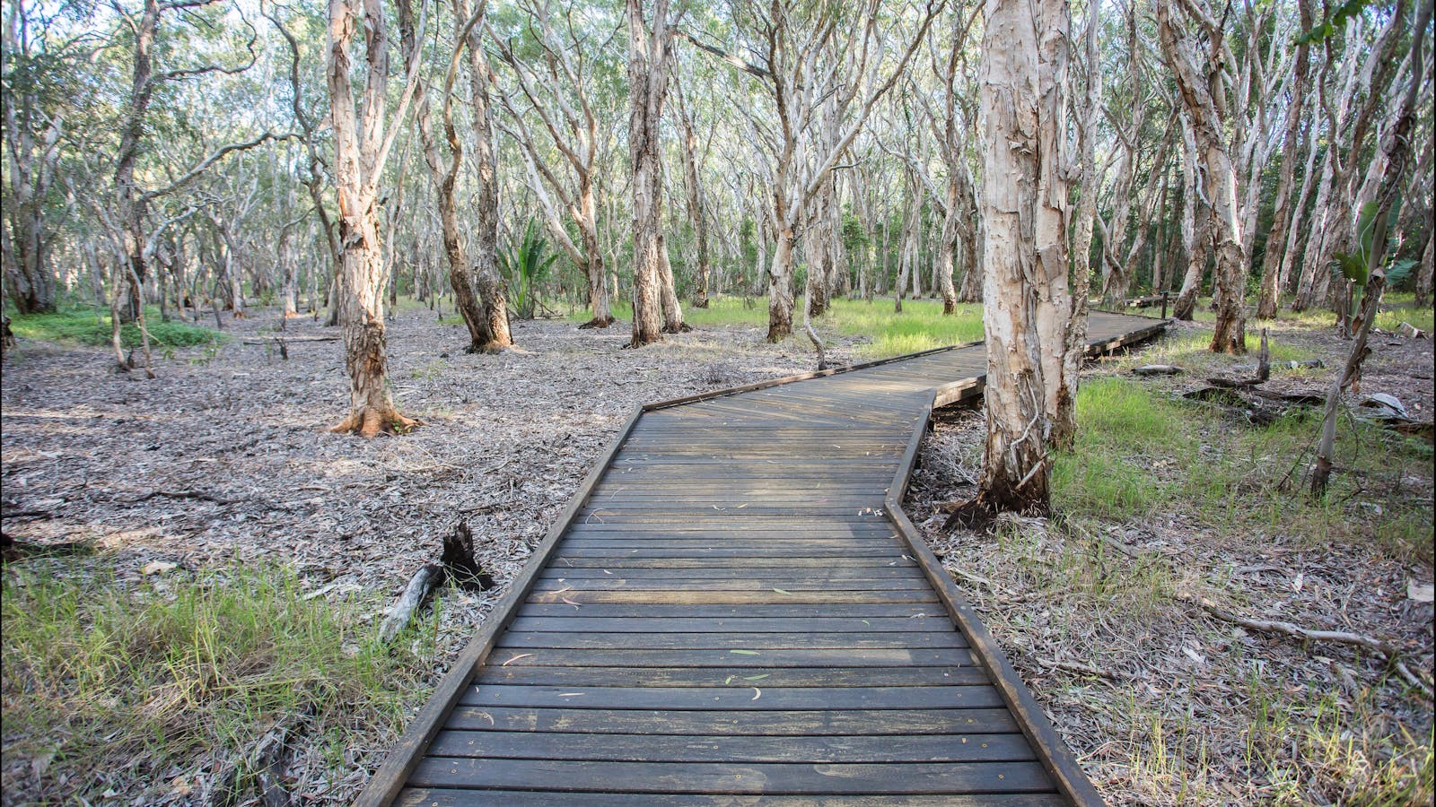The Kommo Toera Trail