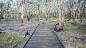 Kommo Trail
