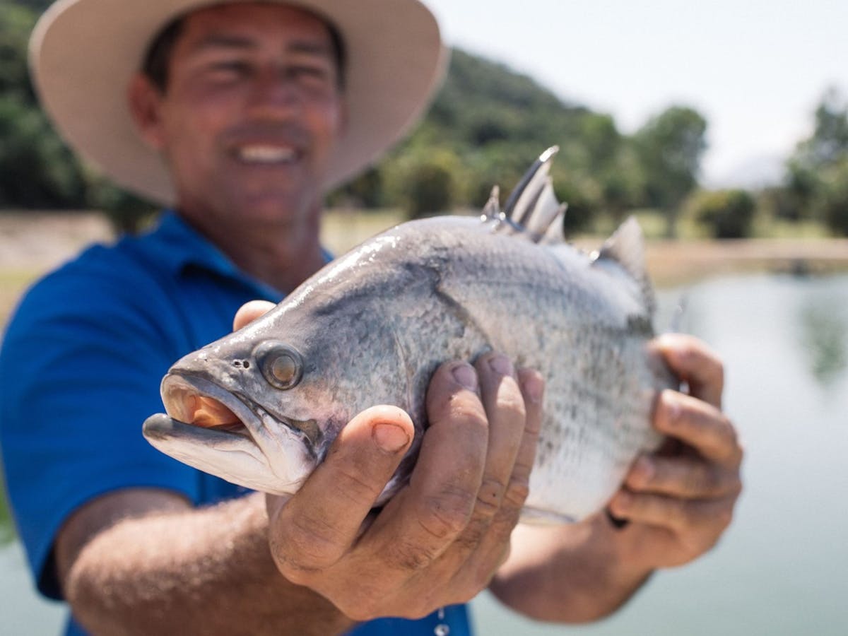 Farmer with Barra