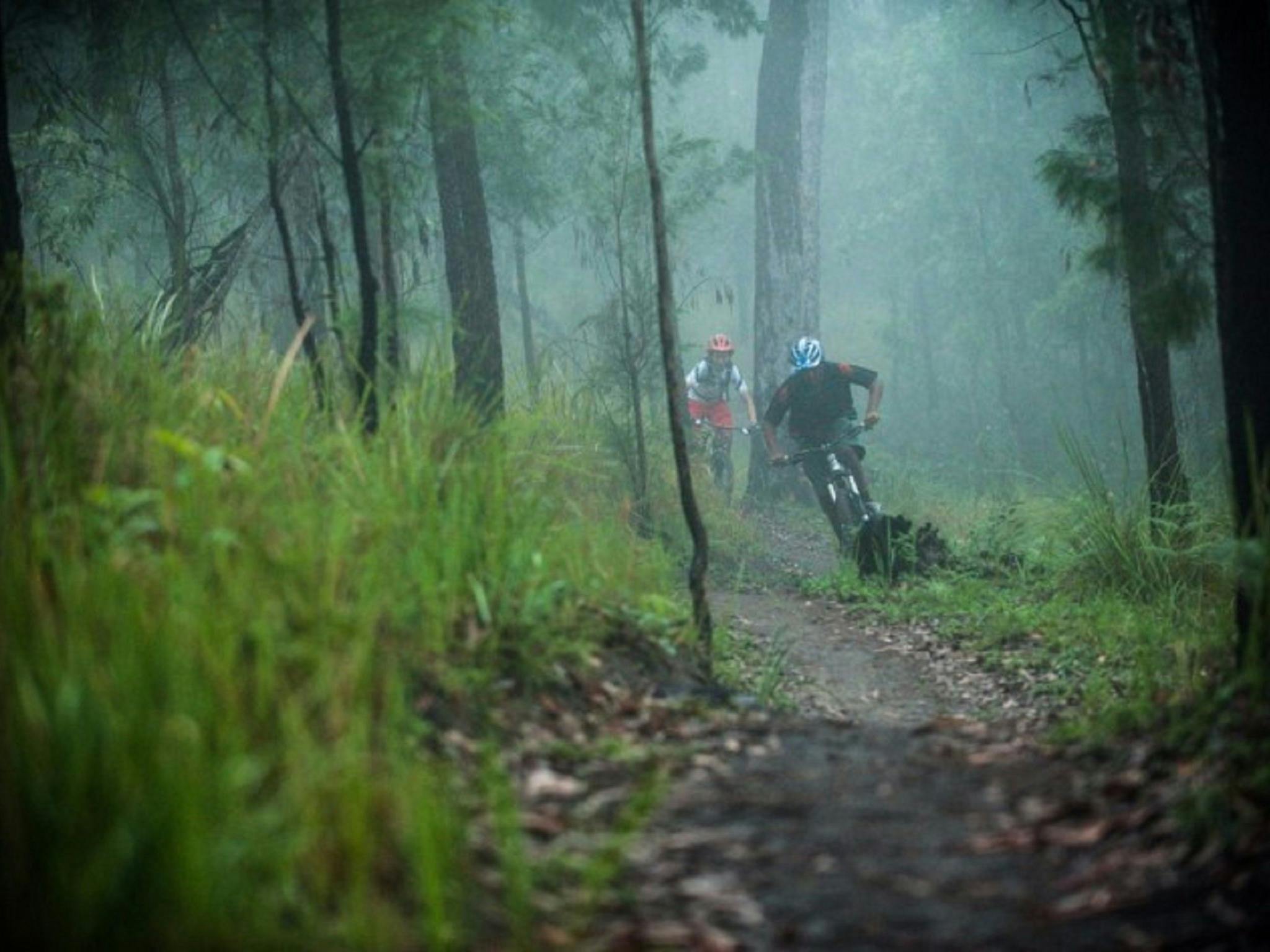 Atherton Forest Mountain Bike Park
