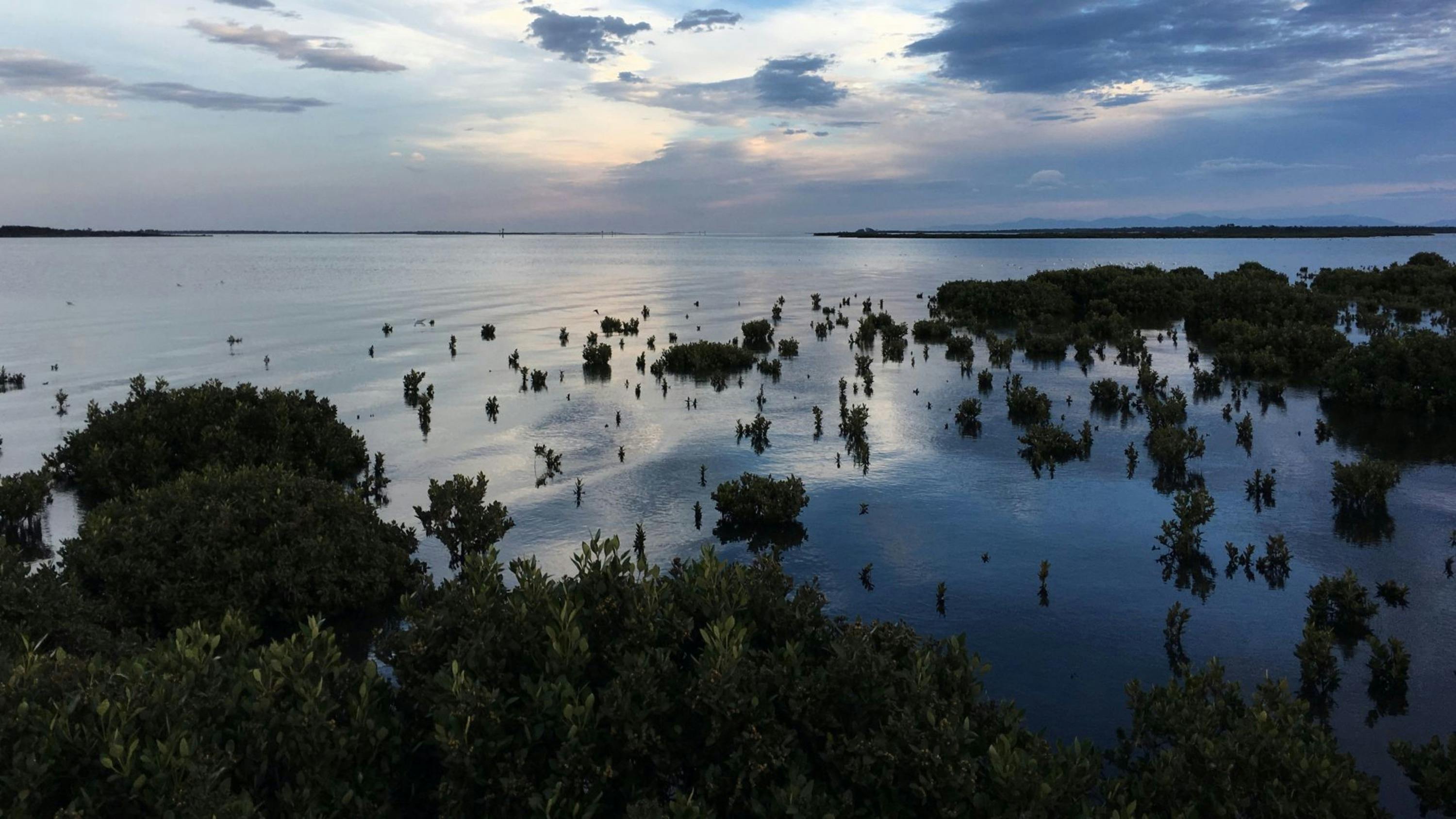 Christopher Robinson Walk